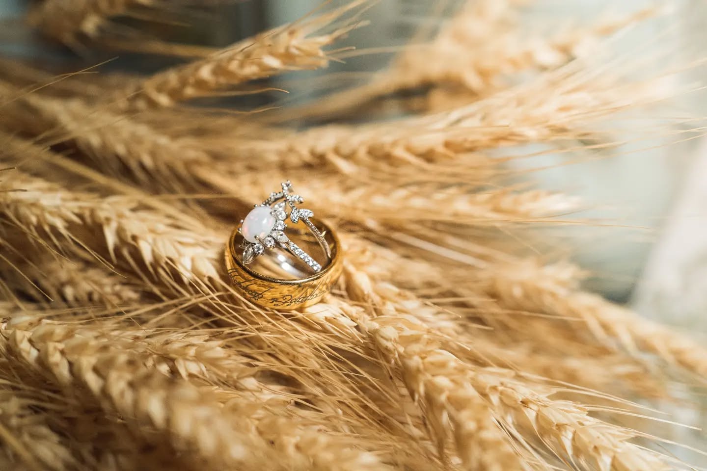 The one ring(s) to rule them all...
Absolutely one of my favorite ring shots from this season.
.
.
.
#weddingbands #rings #weddingphotographer #chicagoweddingphotographer #lotr #gold #love #aurorail #auroraphotographer