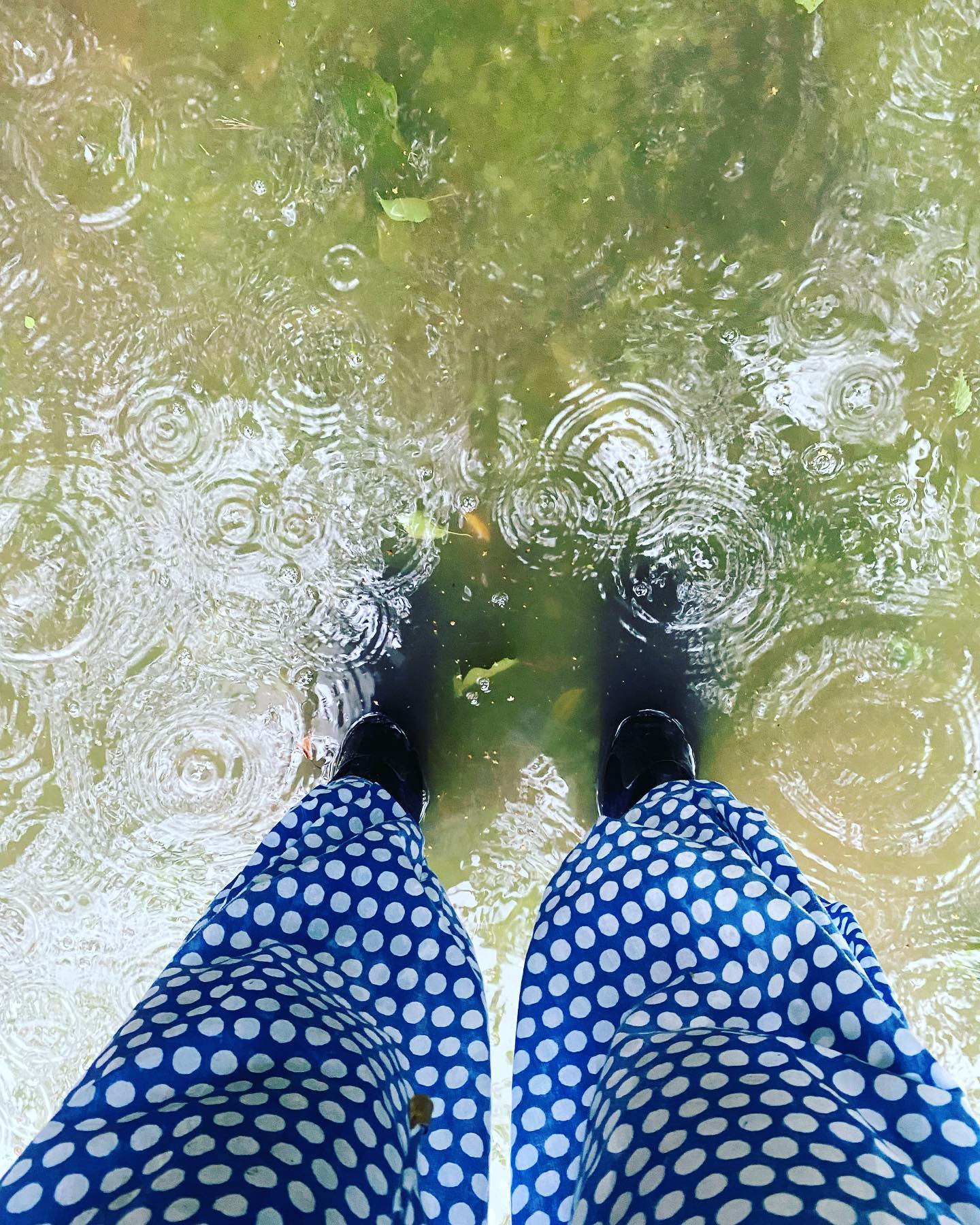 Bit of rain.. bit of hail… #rain #hail #v22 #gladitdidnthailonthevineyard 🍃