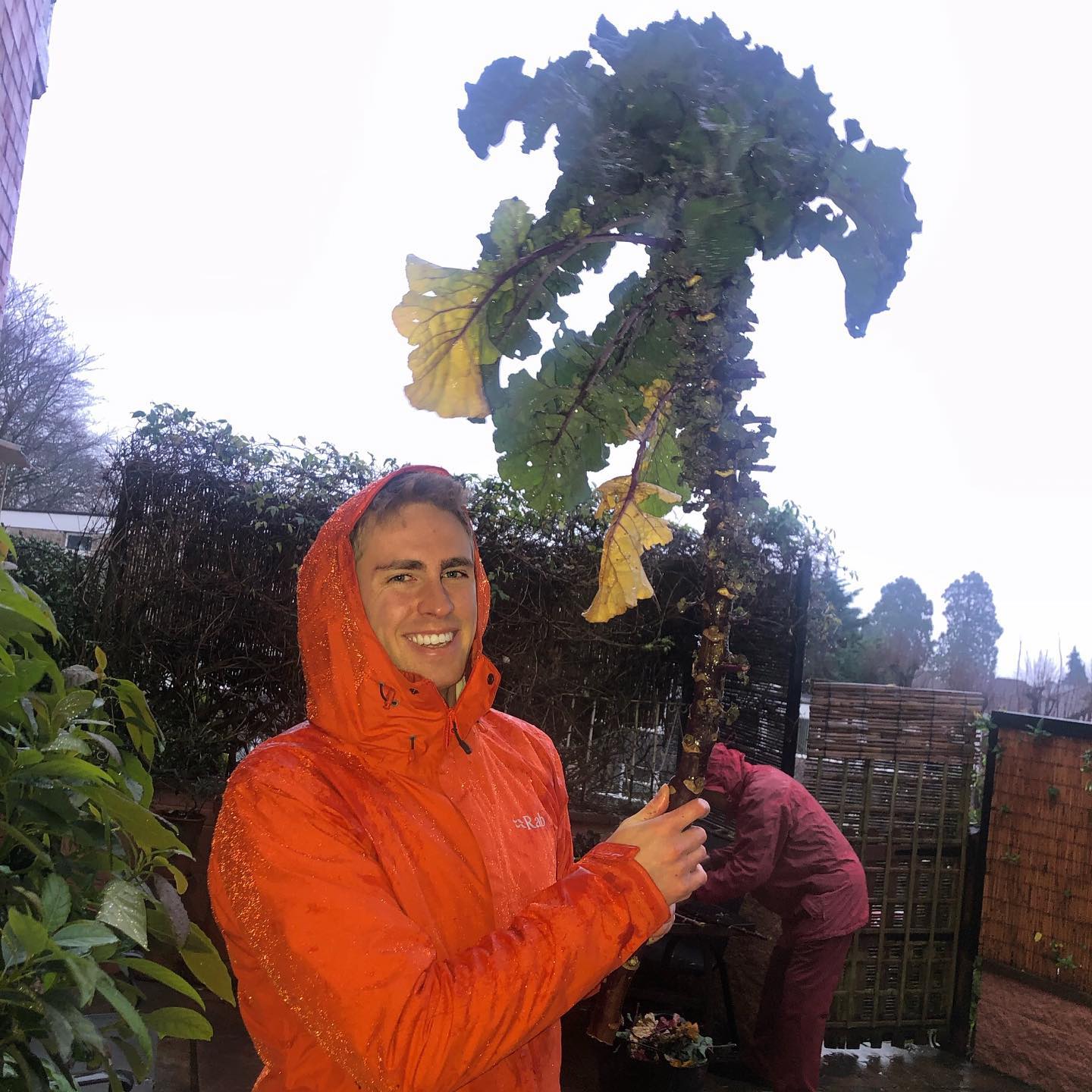 From our forest of purple trees comes two precious bowls of purple flower sprouts (kalettes).
Filled with nutrients particularly vitamins C, K and folate, fibre and carotenoids, these little kalettes pack a punch! 🧞✨
#eatwellbewell #nrgnutrition #kalettes #homegrownveg #eatlocalgrown
