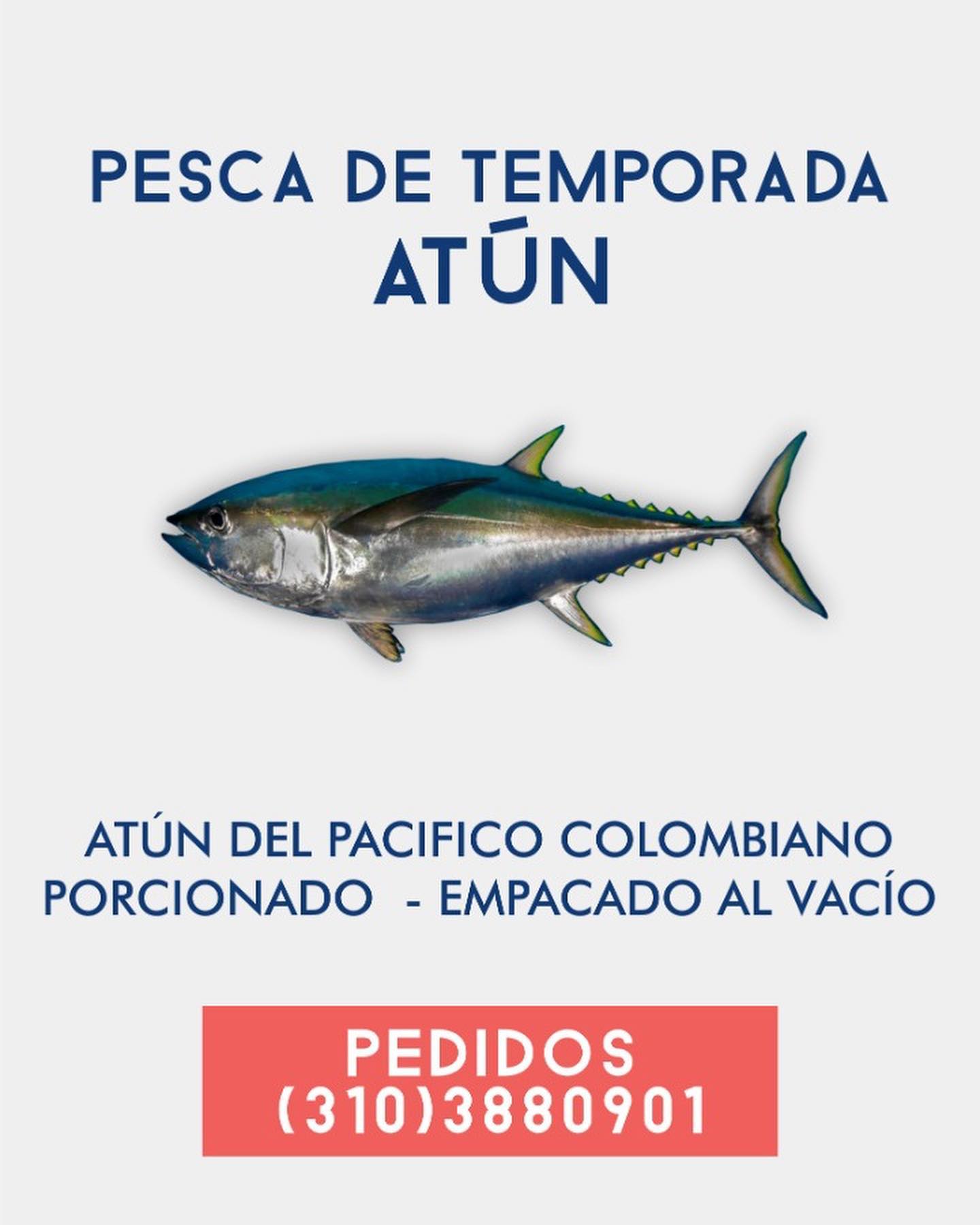 Temporada de atun aleta amarilla de calidad AAA🐠 @pescandopacifico
#restaurantecali #cousine #foodart #sustainablefish #atun #tuna #pescaresponsable #pacifico #foodporn #rawfood #rawbar #tapasbar #cebiche #atunalgrill#food #fresh #organicfood #colombia #pacifico #cali #foodphotography #foodlover #atunfresco #peruvianfood #foodlover #gastroart #foodblogger