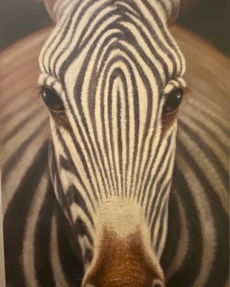 Traveling with us:
18 duffle bags weighing up to 50 pounds each.
5 dental field units.
Portable x-ray unit.
4 generators.
3 “patient chairs” that are outdoor lounge chairs.