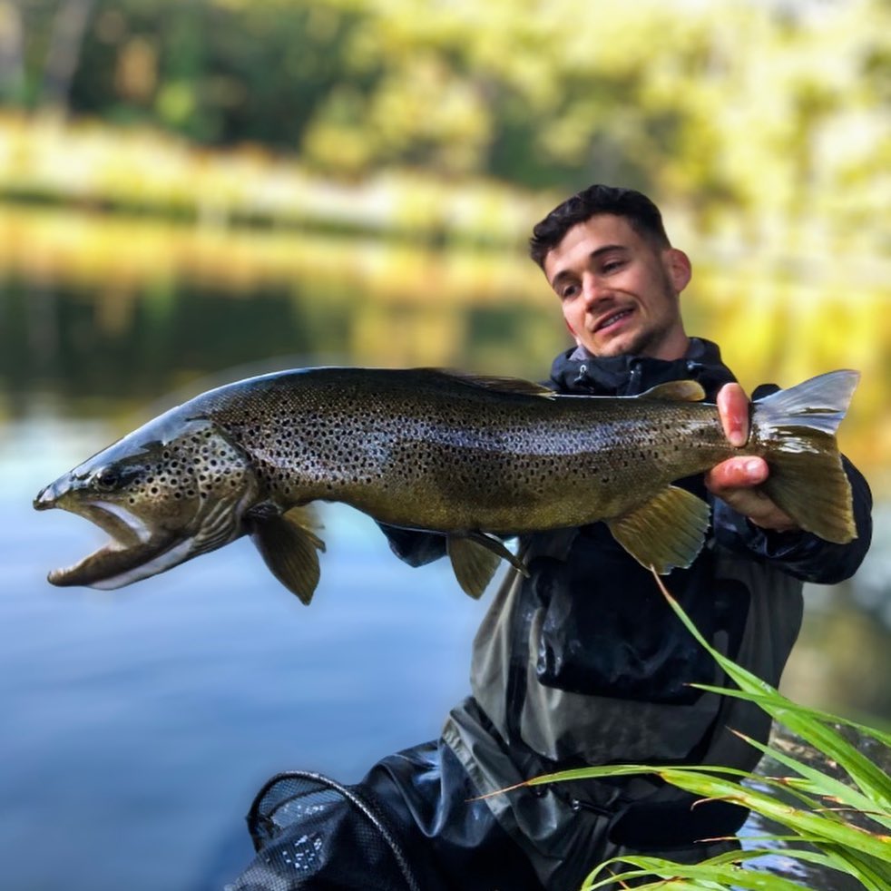 Plus qu’un long mois à tenir avant l’ouverture ! Mais avant de reprendre la pêche, je voulais vous partager la petite histoire de ma plus grosse truite de 2021 et sûrement la plus grosse de ma jeune vie de pêcheur à la mouche.
Après une courte nuit dans ma voiture un peu étroite, je me réveil à l’aube, le soleil n’est encore pas levé, il fait froid et j’enfile mon waders encore un peu humide de la veille. Les conditions sont bonnes, pas une bride de vent à la surface de l’eau, je sais que tôt le matin j’ai une chance d’apercevoir cette truite que j’avais pu voir la veille aux mensurations incroyables. Le soleil orange du matin se lève tranquillement. Je longe la rivière mais là rien n’est dehors, je marche et je marche sans rien voir. Au fond de moi je commence à d’espérer .. surtout que le soleil commence à pointer le bout de son nez, et je pense que cette fois ci c’est fini pour le coup du matin. Mais là contre toute attente, je vois une large queue juste en dessous de moi, la tête cachée en direction de a berge. Le palpitant monte déjà quand je vois la largeur du dos, j’accroche une petite nymphe assez plombée, le lancer est parfait, la nymphe descend tranquillement, et là, deux coups de nageoires et je vois les ouïes de ce monstre s’écarter. Ferrage, c’est pendu !! Moi même je n’en reviens pas, mon rêve au bout de ma canne à mouche .. le combat fut intense et voilà ce monstre dans mon épuisette .. incroyable j’en était encore tout tremblant pour la séance photo ! Les poissons proches des 70 cm en nymphe à vue c’est quand même le pieds 😅
#peche #pêche #pecheur #troutfishing #troutpornnation #troutporn #troutbum #troutbums #trout #trouthunter #trouthunting #fish #angler #anglerlife #sud #passion #paysage #ouverturetruite #nokill #france #watercolor #photooftheday #truite #naturephotography #nature #naturelover #2022 #smile #pechealamouche #truite