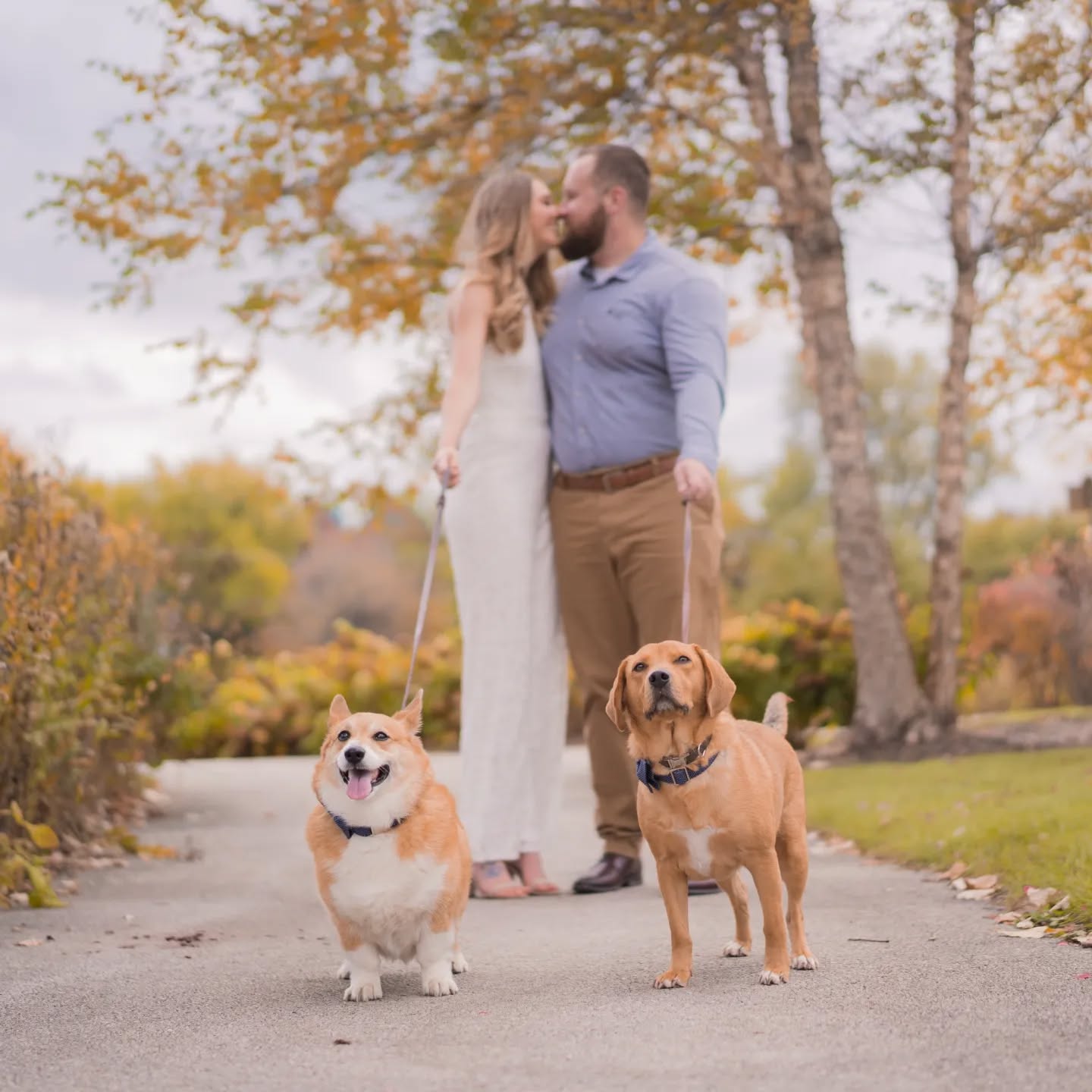 Ive said it before, but i can't stress it enough. Your dogs are always welcome to and photo session. 🐾
.
.
.
#engagementphotos #chicagoweddingphotographer #lifestyle #love #furbabies #engagementsession #chicago #chicagolove #aurora #aurorailphotographer