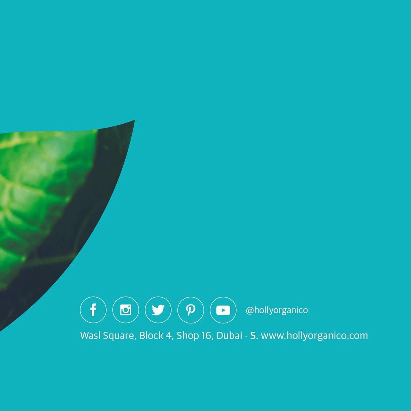 FEEDING THE SOUL
Holly Organico is a plant-based lifestyle and a way of life. Our notion of food is more than a simple recipe. We cook our food with the earth’s energy that exudes love, using customary techniques to protect the vitality and true essence of our ingredients.
We’re a healthy lifestyle tastemaker arriving directly to your tables, workplaces, businesses and exclusive events. We make our catering notable by offering plant-based food that not only tastes heavenly, but is also great for your health with key bio-friendly elements.
Plant-based meals can be a cornucopia of colours, shapes, textures, and mouthwatering flavours – ultimately a source of infinite opportunities for creativity in the kitchen. That’s exactly what our Brazilian Executive Chef brings to the table; a meticulously crafted extensive menu that delivers balanced nutrition and flavourful experiences from around the world.
Our selective range of healthy plant-based dishes will be cooked with fresh and whole ingredients, sourced directly from the farms in the United Arab Emirates.
WE BELIEVE IN REAL FOOD
We know that innovation, taste and sustainability coexist, so upcoming possibilities of conscious consumption are real and tasteful.
We understand that what we do will have an impact on people who eat our food. In all our actions, we are guided by what it means to eat healthy food and live a healthy life. Holly Organico concept delivers complete plant-based goodness as we prioritise organic foods and focus on fresh, locally sourced produce to anchor our menus from sophisticated to simple. Just clean, fresh, real food you know and love.
.
.
.
.
#organic #hollyorganico #gourmet #food #natual #greens #lifestyle #live #catering #dubai #uea