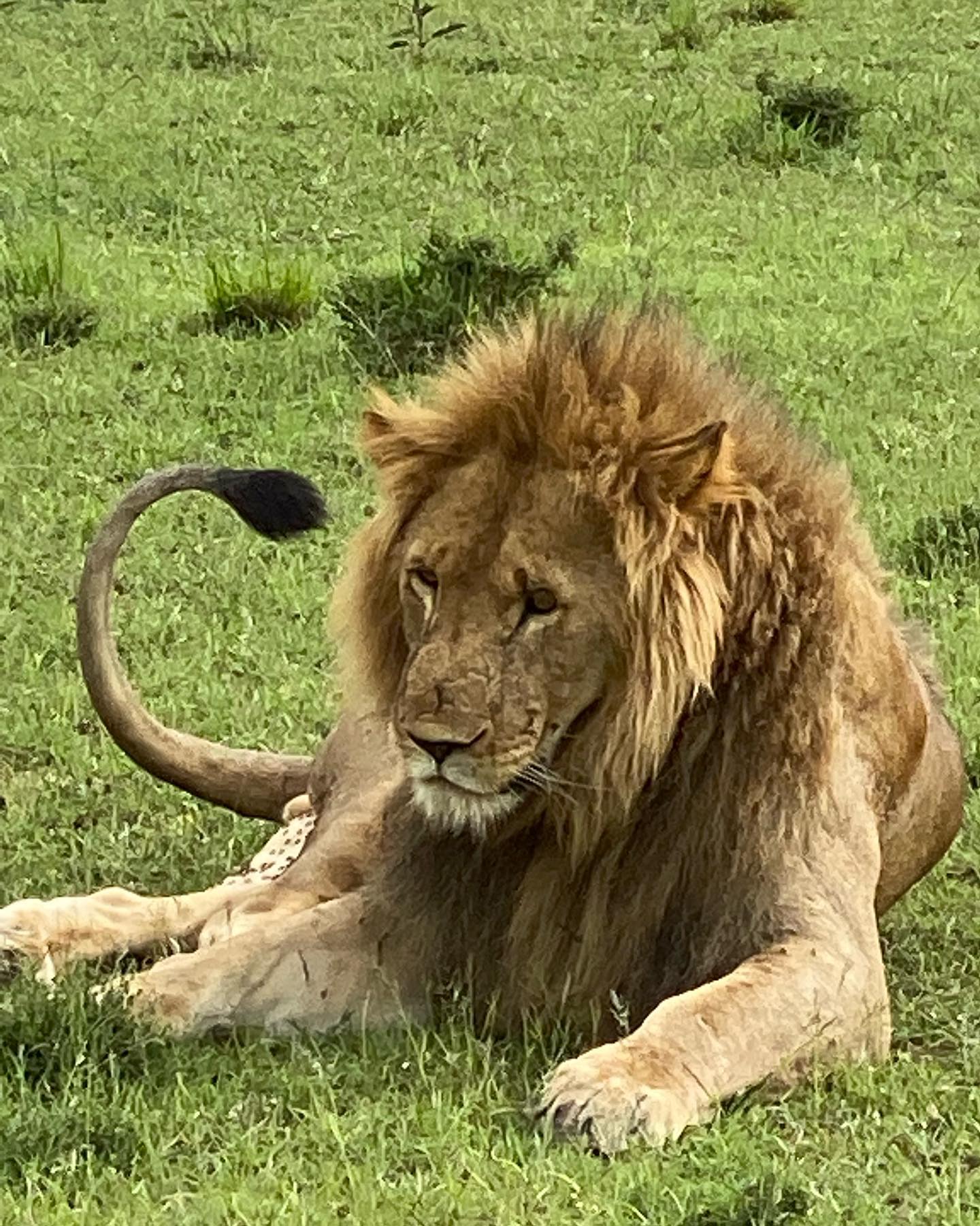 This never gets old!