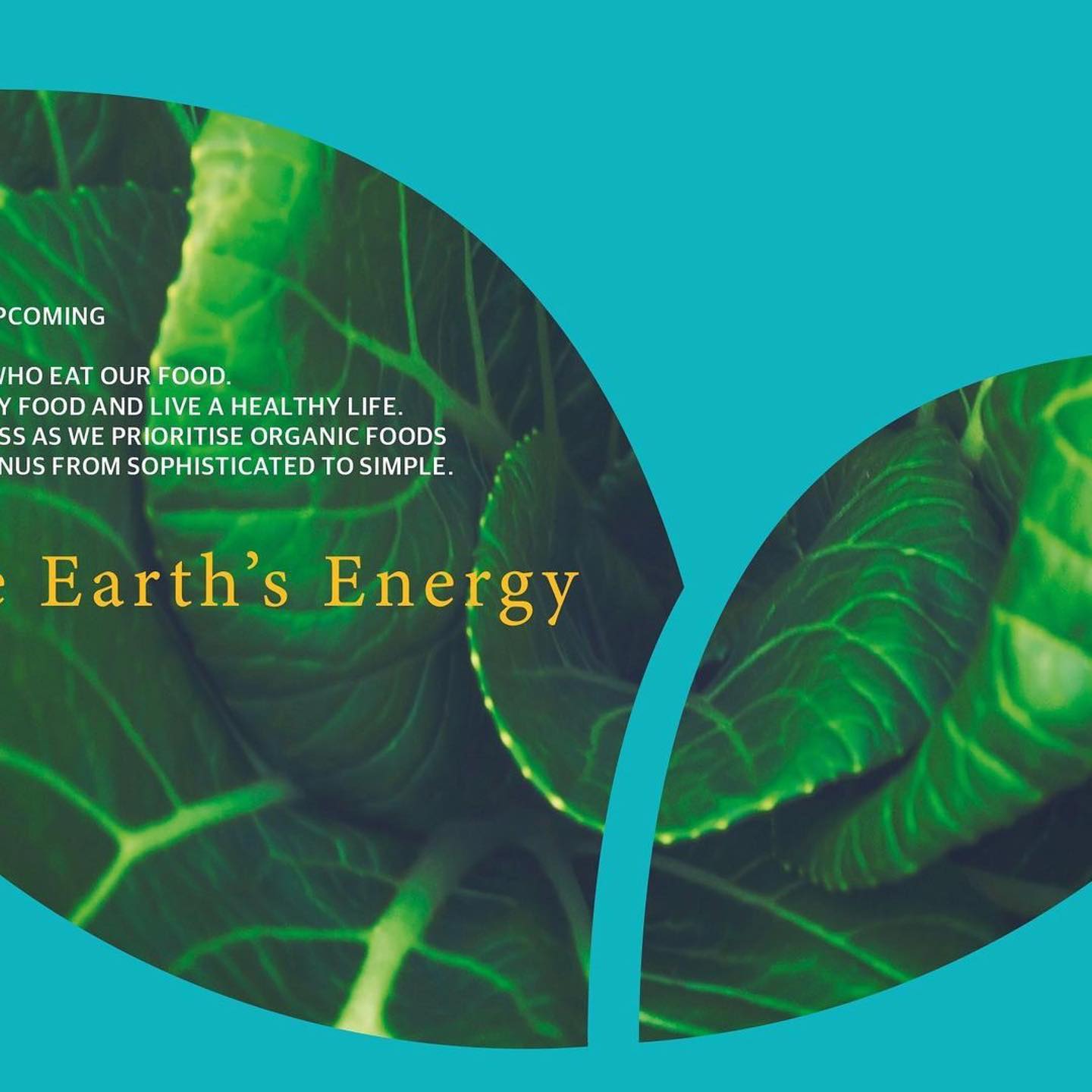 FEEDING THE SOUL
Holly Organico is a plant-based lifestyle and a way of life. Our notion of food is more than a simple recipe. We cook our food with the earth’s energy that exudes love, using customary techniques to protect the vitality and true essence of our ingredients.
We’re a healthy lifestyle tastemaker arriving directly to your tables, workplaces, businesses and exclusive events. We make our catering notable by offering plant-based food that not only tastes heavenly, but is also great for your health with key bio-friendly elements.
Plant-based meals can be a cornucopia of colours, shapes, textures, and mouthwatering flavours – ultimately a source of infinite opportunities for creativity in the kitchen. That’s exactly what our Brazilian Executive Chef brings to the table; a meticulously crafted extensive menu that delivers balanced nutrition and flavourful experiences from around the world.
Our selective range of healthy plant-based dishes will be cooked with fresh and whole ingredients, sourced directly from the farms in the United Arab Emirates.
WE BELIEVE IN REAL FOOD
We know that innovation, taste and sustainability coexist, so upcoming possibilities of conscious consumption are real and tasteful.
We understand that what we do will have an impact on people who eat our food. In all our actions, we are guided by what it means to eat healthy food and live a healthy life. Holly Organico concept delivers complete plant-based goodness as we prioritise organic foods and focus on fresh, locally sourced produce to anchor our menus from sophisticated to simple. Just clean, fresh, real food you know and love.
.
.
.
.
#organic #hollyorganico #gourmet #food #natual #greens #lifestyle #live #catering #dubai #uea