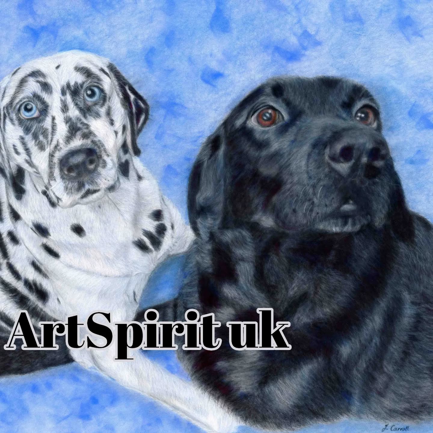 A beautiful picture of a gorgeous pair. It was an absolute delight to draw them. The portrait has finally been delivered to its owners who are very pleased and happy with it. Colour pencil on pastelmat board. #colourpencilart #colourpencils #labradorsofinstagram #dalmationsofinstagram #artgallerys