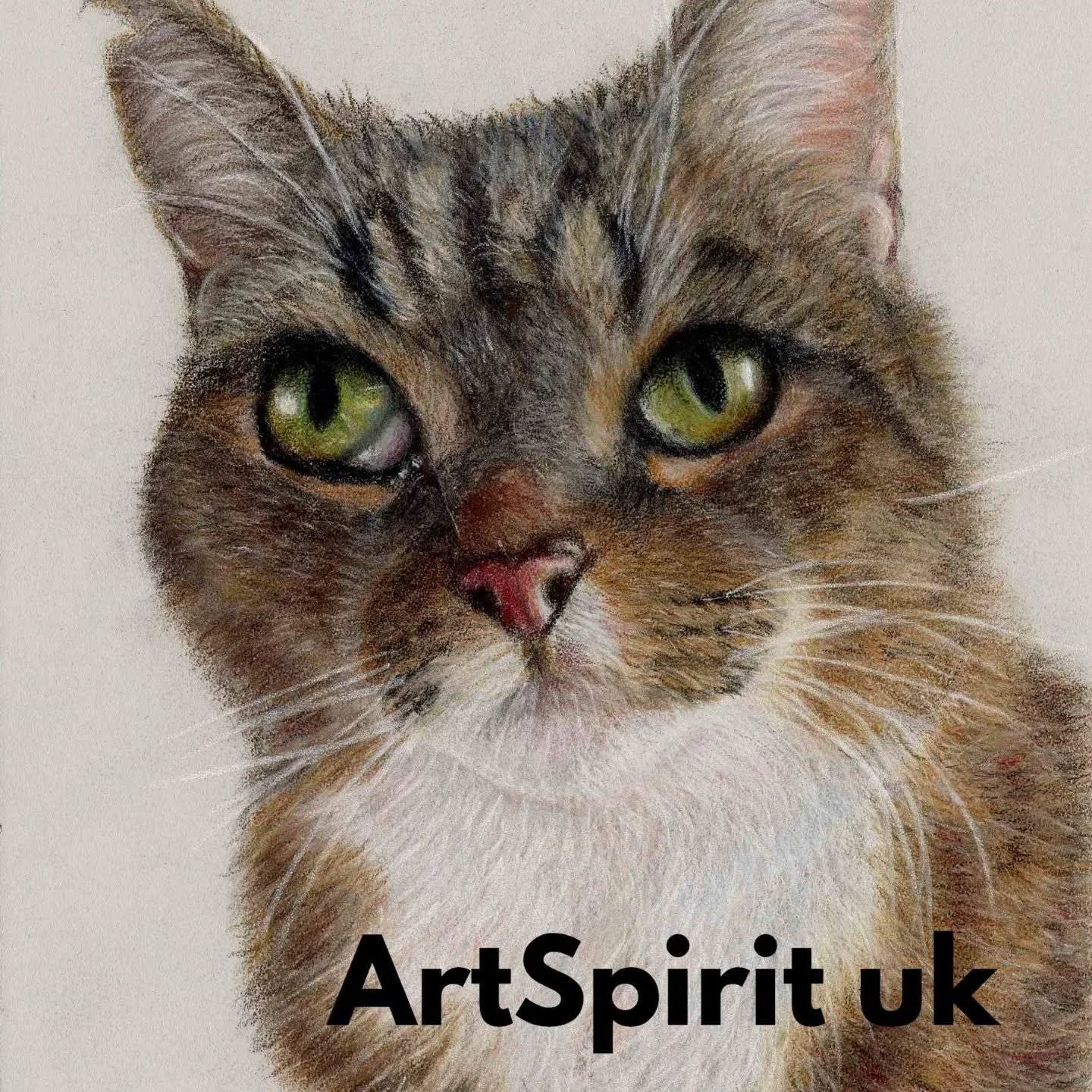 Finally finished this beauty. She is a treasured member of her family. The owners loved the portrait. She was an absolute joy to draw. Colour pencils on pastelmat board.. #catlovers #cats #colourpencils #catlife #artgallerys