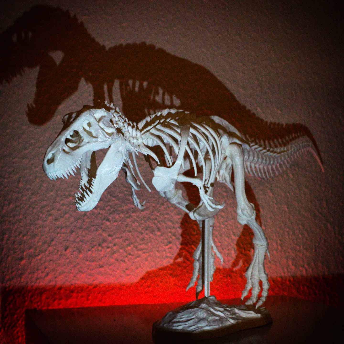 T-Rex 🦖. Did you know T-Rex had a top speed of 27 kph? Usain Bolt would have for sure been able to outrun one 😉
The King of Dinosaurs is one of the most famous dinosaurus and was featured in the dinosaur movie Jurrasic Park. In this 3d printed model you can only see how his bone structure used to look like.
3d printed by @3beeprinting
Model credits: @makerbot
#dinosaurs #trex #dinosaursofinstagram #fossil #skeleton
