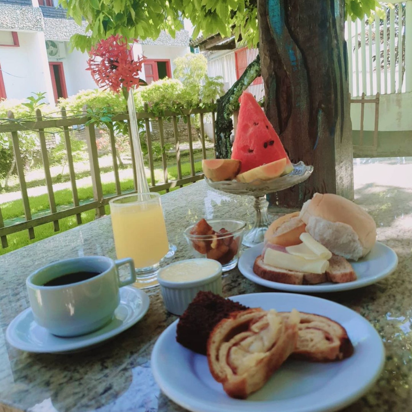 A beleza da vida reside na sua simplicidade 🌺