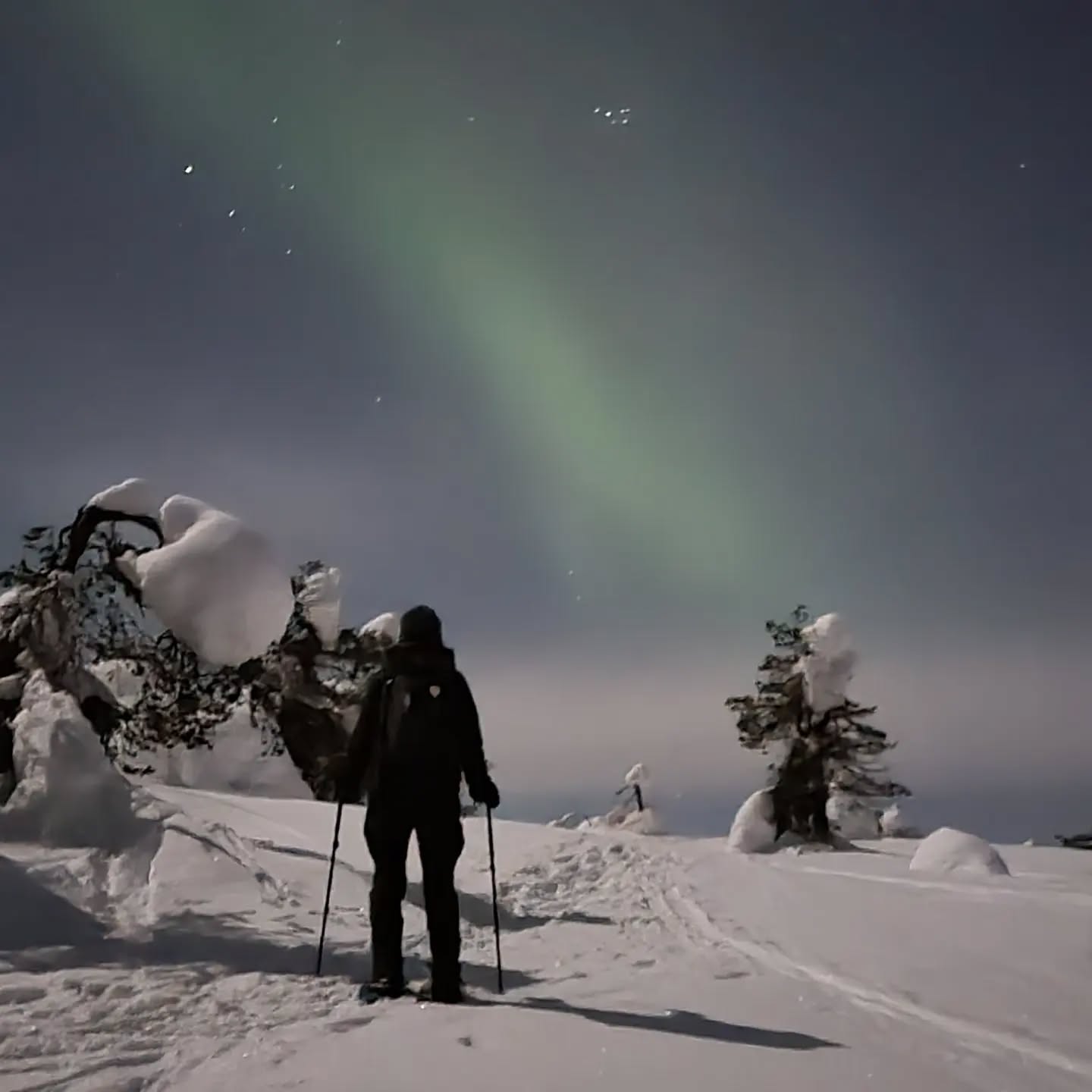 A typical free evening.
Heli: 'Plans?'
Piritta: 'First free evening in two weeks. Laundry, some tea, a book of David Attenborough'
Heli: 'Did you notice that kp-index is getting better and there's possible G2 solar storm approaching' (magical words for #northernlight hunters)
Piritta: 'Snowshoes or skis?! Hold my tea! I just re-pack my backpack. Ready in 20min'
We packed well. Excellent Swiss #spruengli chocolate, a gift from my lovely customers ❤🇨🇭 and a space blanket for lying in snow.
📷 Mobile phone #Samsungs21ultra