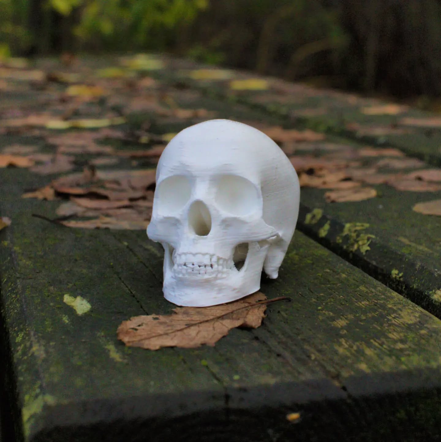 Human Skull ☠ Model
#skulls #danger #3dprinting #bones