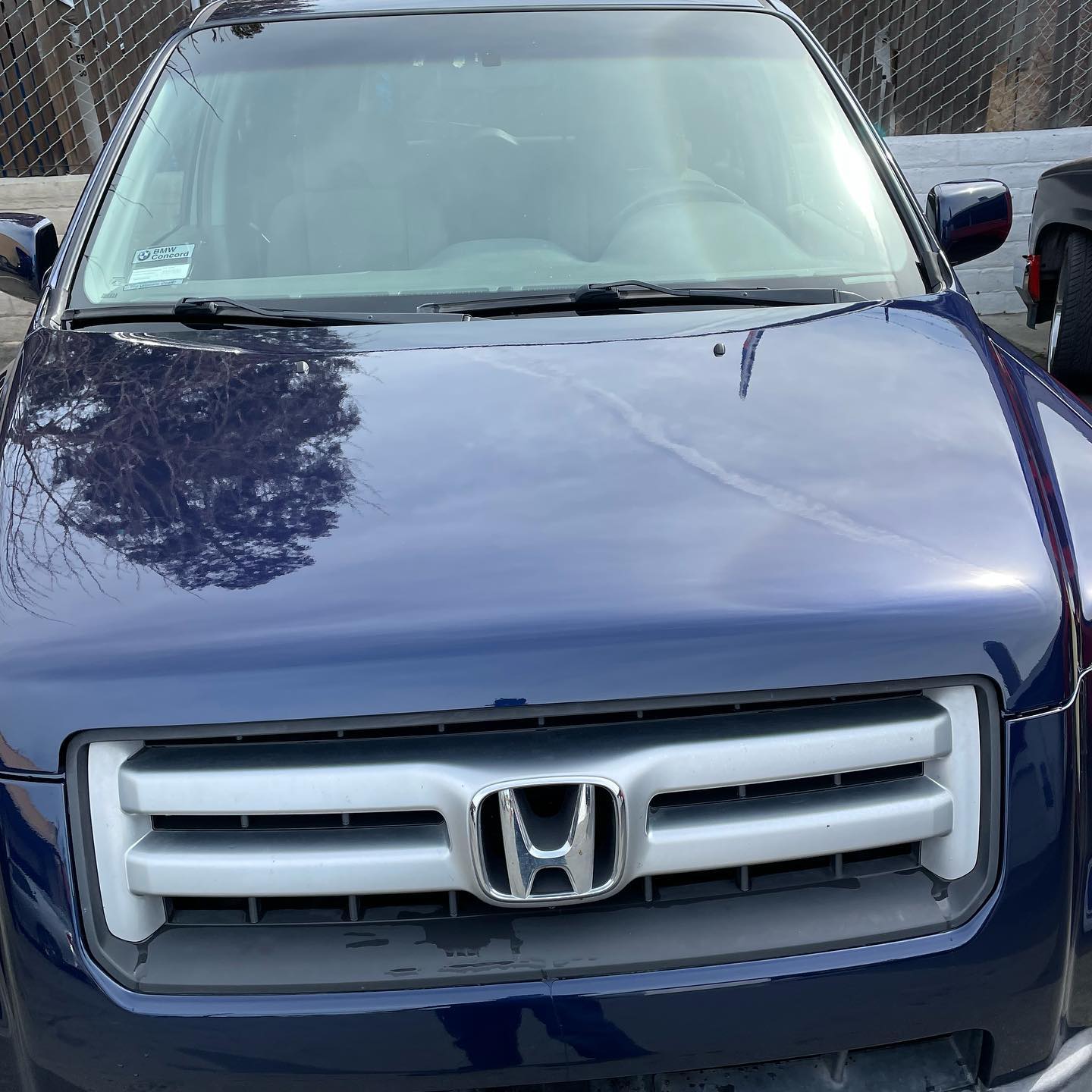 #affordablecarpaintingw/quality