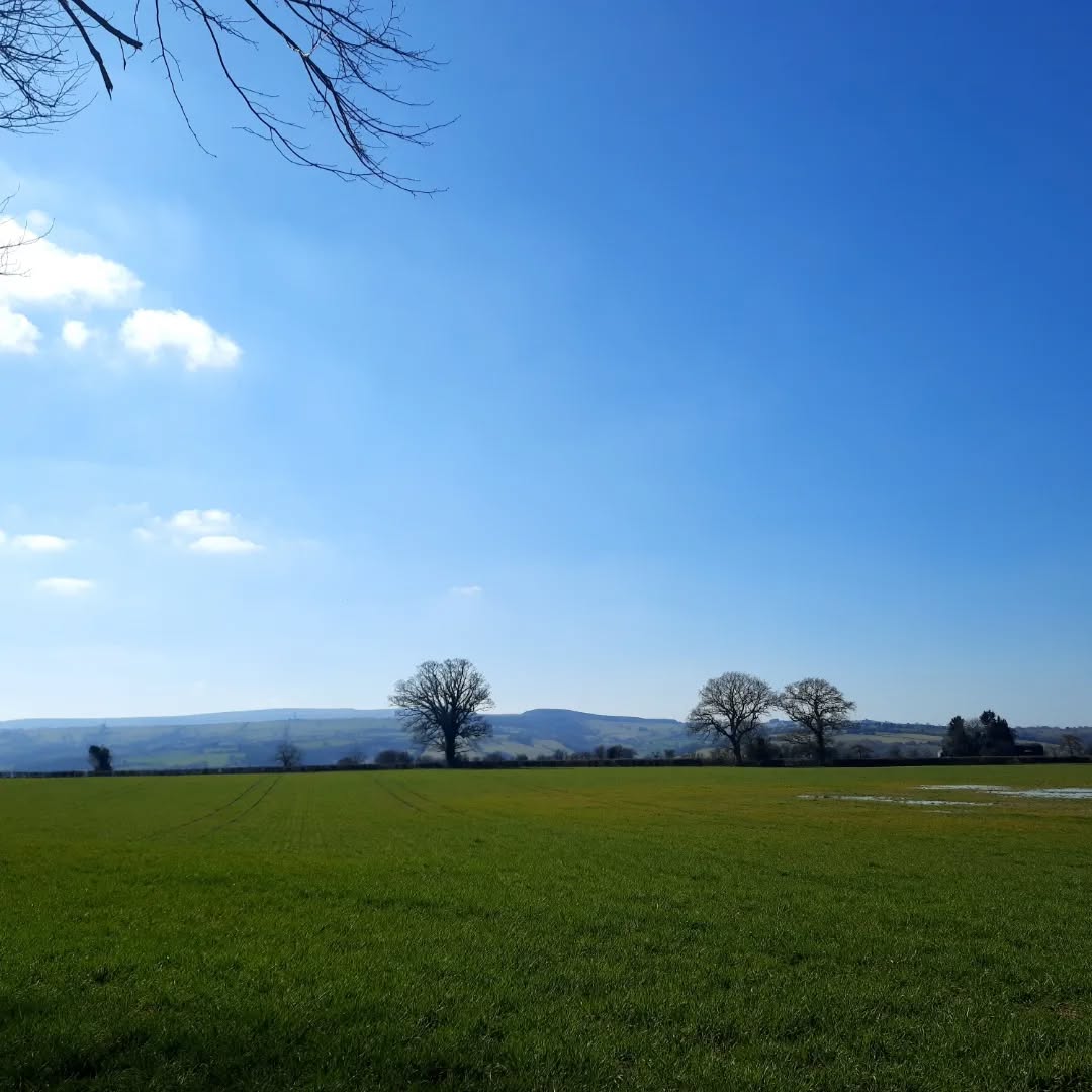 🌻 Happy Ostara everyone! 🌻
Today the spring equinox showed up in all its beauty with a fantastic blue sky.
I nourished myself with a lovely walk in the countryside surrounded just by nature.
I was breathing and observing the power of the seasonal change, I felt small but grateful to be able to witness and enjoy all this energy around me.
Today I also forgot to do a very important thing, it just slipped out of my mind, taken as I was to feel good within myself; but it was for a good cause so I'm not worry about it.
In the past my anxiety would have taken over, but not today.
I hope you all had a lovely day and had some time to feel good within yourself.
In the second picture is this week availability if you wish to treat yourself with a holistic massage.
Contact me for any questions or if you need extra information about my treatments.
Ciao!
Martina 💫
.
.
.
.
.
.
.
#hereford #herefordshire #herefordmassage #thisishereford #acquadolcetherapies #acquadolce #massagetherapyhereford #massage #massagetherapy #therapistlife #yourherefordshire #acquadolcehereford #holisticway #holistictherapies #holisticapproach #myholisticlife #holisticmassage #ostara #spring #springequinox #springiscoming #bluesky #herefordshire #herefordshirebusiness