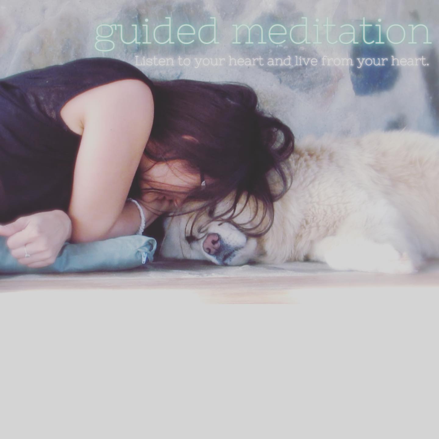"Align with what speaks to your heart and live its truth" ♥️
.
-> Guided Meditation: Link in bio
.
Meditative techniques can help you not only with stress, tension, restlessness or nervousness, but also with negative feelings, stressful emotions and persistent thoughts.
Dealing with the causes and dealing more calmly with one's own feelings can be very effectively supported in the long term by meditation.
By learning to take a step back from your emotions and perceive them more consciously, you will find them less stressful and thus positively influence the perception.
Namaste
Angelina & Link 🌻
#meditation #guidedmeditation #meditativemind #heartmeditation#yoga#mindfulness#health#yogamindfulnesshealth#meditate#meditationpractice#meditationvideo#medotationyoutube#innerpeace#mindfulpractice#yogapractice#chowchow