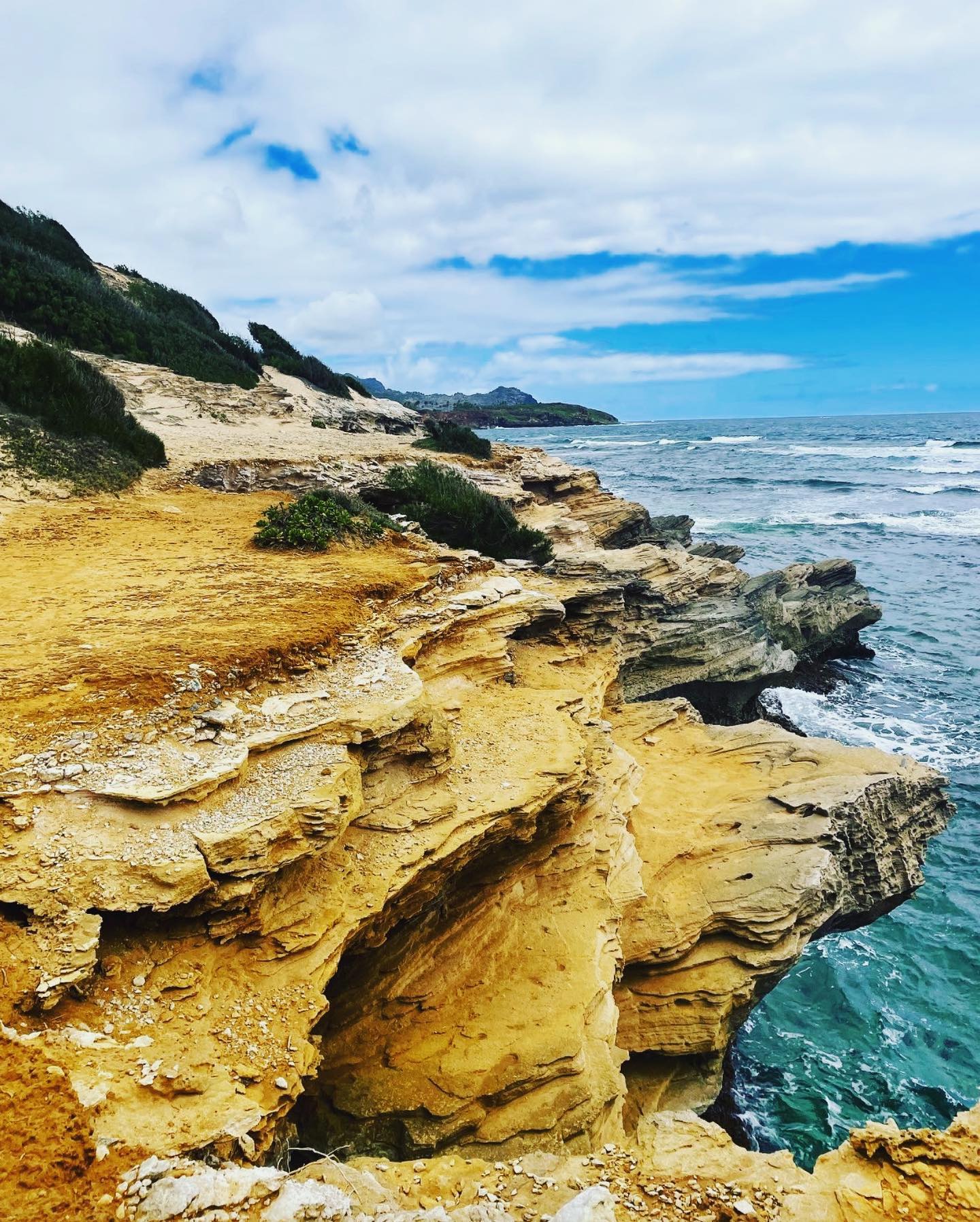 Let the waves take you over. Be one with the water and flow into a new chapter of your existence 🌊🌊🌊