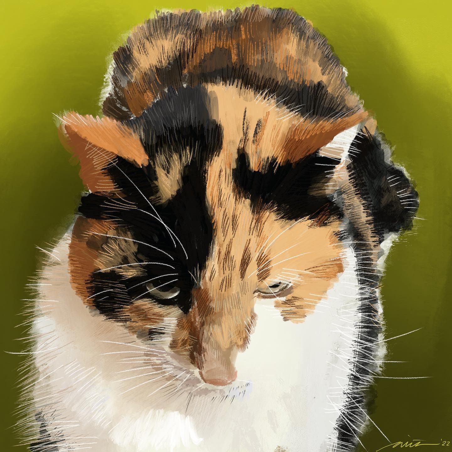 Day 24: Misty, My First Procreate Sketch
.
#latergram #cat #dailydoodle #sketch #digitalart #procreate