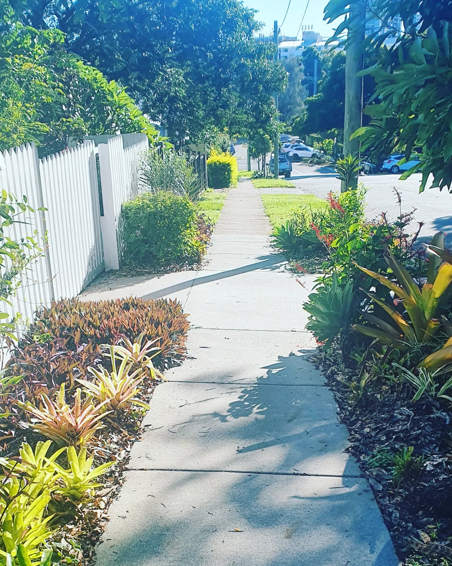 Listening to the #doitwithintentionpodcast on my morning walk today 🌞
Loving this podcast so far and finding it so helpful as a Remedial Massage Therapist 👌
A lovely little gem in the podcast I listened to today was 'successful deep transformational body work is not something you fit into an already tight schedule'. I feel this resonates with me at the moment with me trying to fit a lot in with a busy schedule, and can also help me educate my clients who are also trying to squeeze in appointments on their already busy schedule so giving more importance on making time and not finding time - this is something I definitely need to keep reminding myself regularly 🙈
#massagepodcast #morningwalks
#remedialmassage