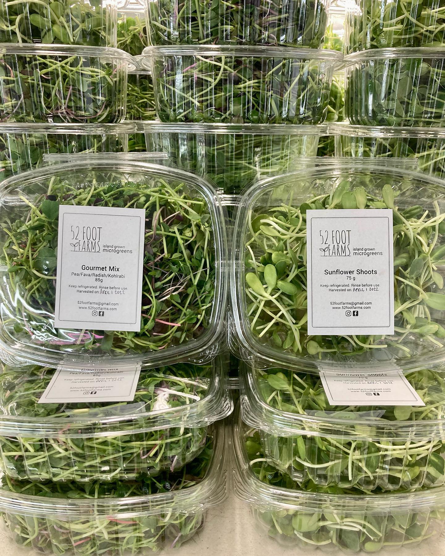 Microgreens drop at @yellowpointfarms and @nesvog_meats_and_sausage_co !
🌱Always fresh 🌞 Always local 🌱
.
.
.
#eatfresh #microgreensnanaimo #nanaimochefs #vancouverislandmicrogreens #supportlocal #microgreens #microgreensfarm #urbanfarming #superfood #greens