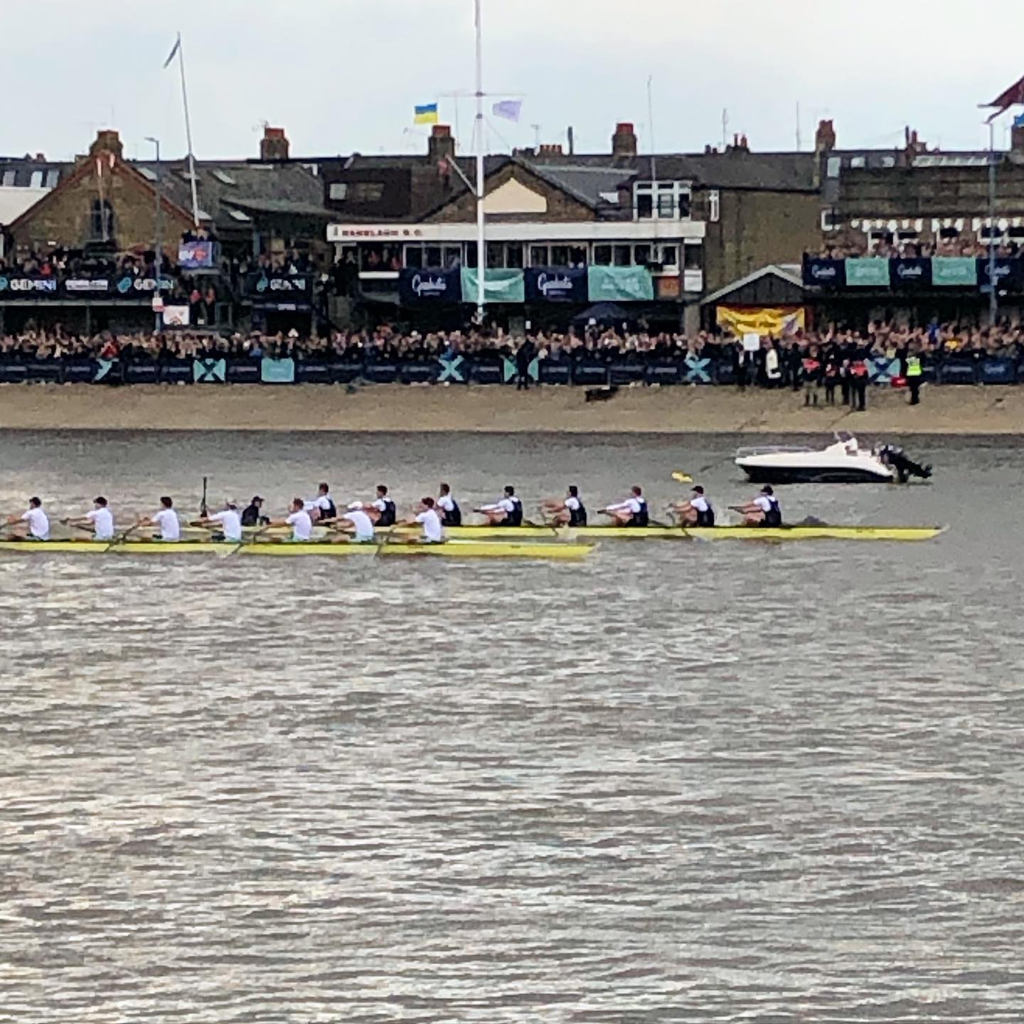 All the buzz 🎉 of the Boat Race today at #bishopsparkfulham with the race passing very close to our newest café @bishopsparkteahouse
Thank you to our fabulous team who did not stop all day!!
Congratulations to the Cambridge Women’s Team 🥇and to the Oxford’s Men’s Team 🥇and to ALL the rowers, great to have this wonderful event back on the calendar.
#theboatrace2022 #londonlife #bishopspark #bishopsparkteahouse🌳 #rootsandberries