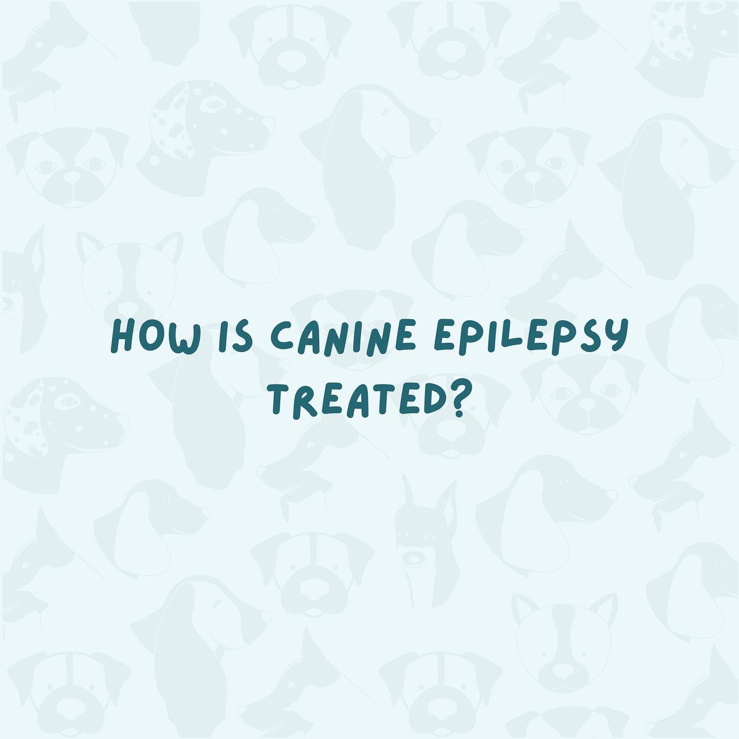The most commonly prescribed anti-epileptic drug (AED) is Phenobarbital. Ask your veterinarian about Nobatol, the first veterinary-labeled Phenobarbital tablets manufactured by Mizner Bioscience.
For more information, visit nobatol.miznerbioscience.com. #CanineEpilepsyAwareness