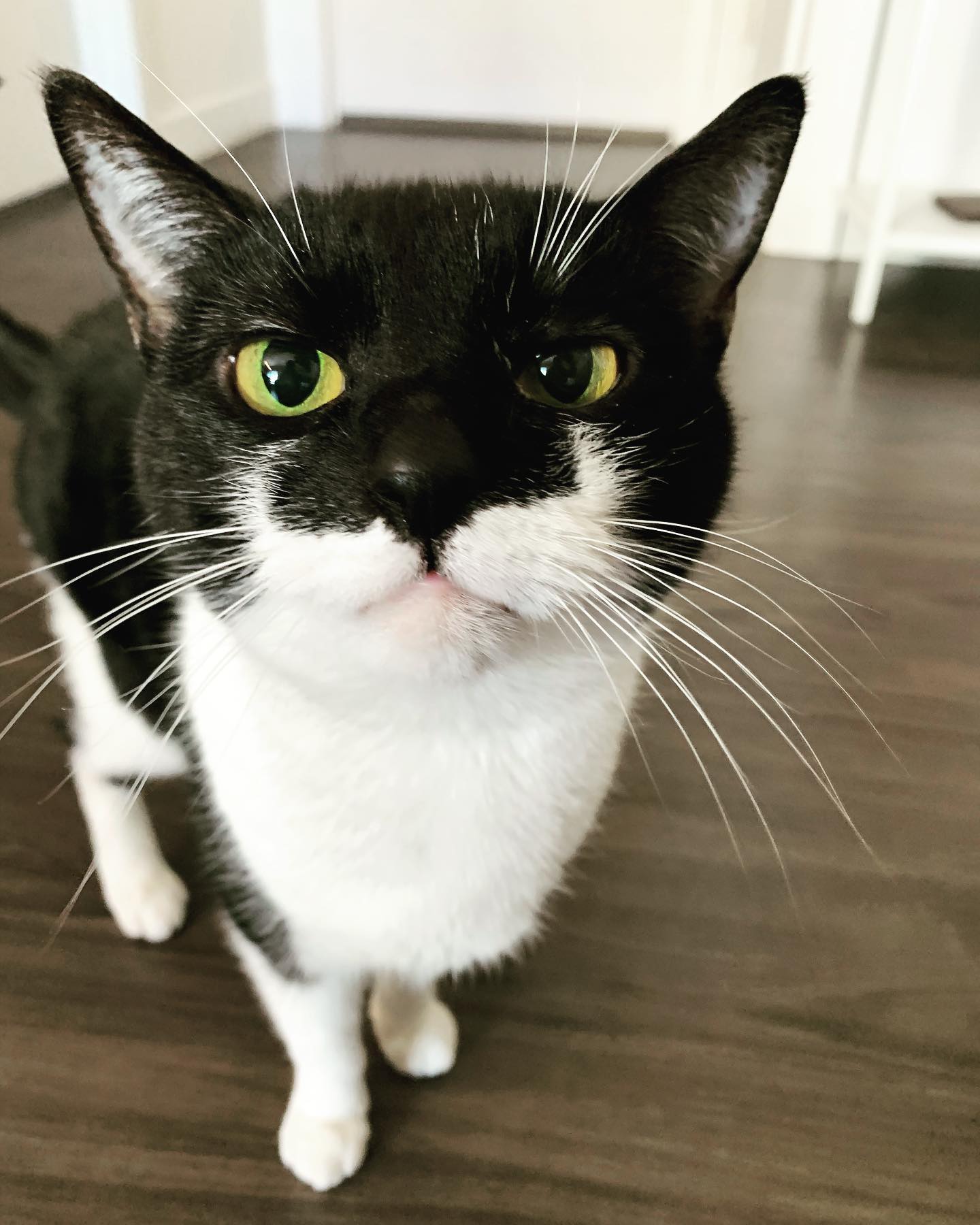 Watching Edie and Layla while mom and dad are away. 🥰