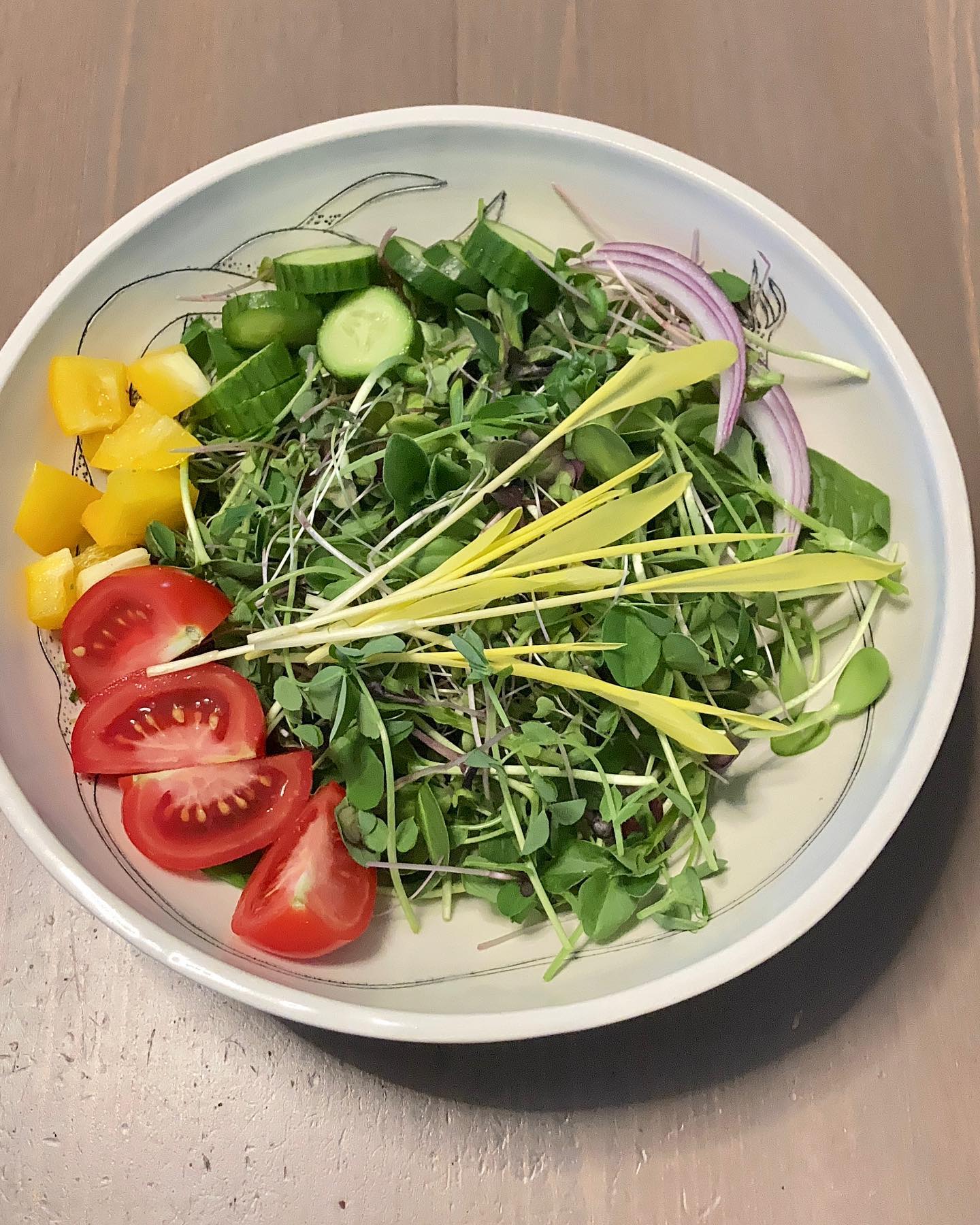 Not only are we the owners of a Microgreens company….
…we’re also clients.
This is one of our typical salads at home.
🌱
🌱
🌱
#microgreens #microgreensnanaimo
#eatfresh #eatorganic #organic #nongmo
#bcfresh #eatlocallygrown #supportlocal #nanaimorestaurants #microfarm #minigreens