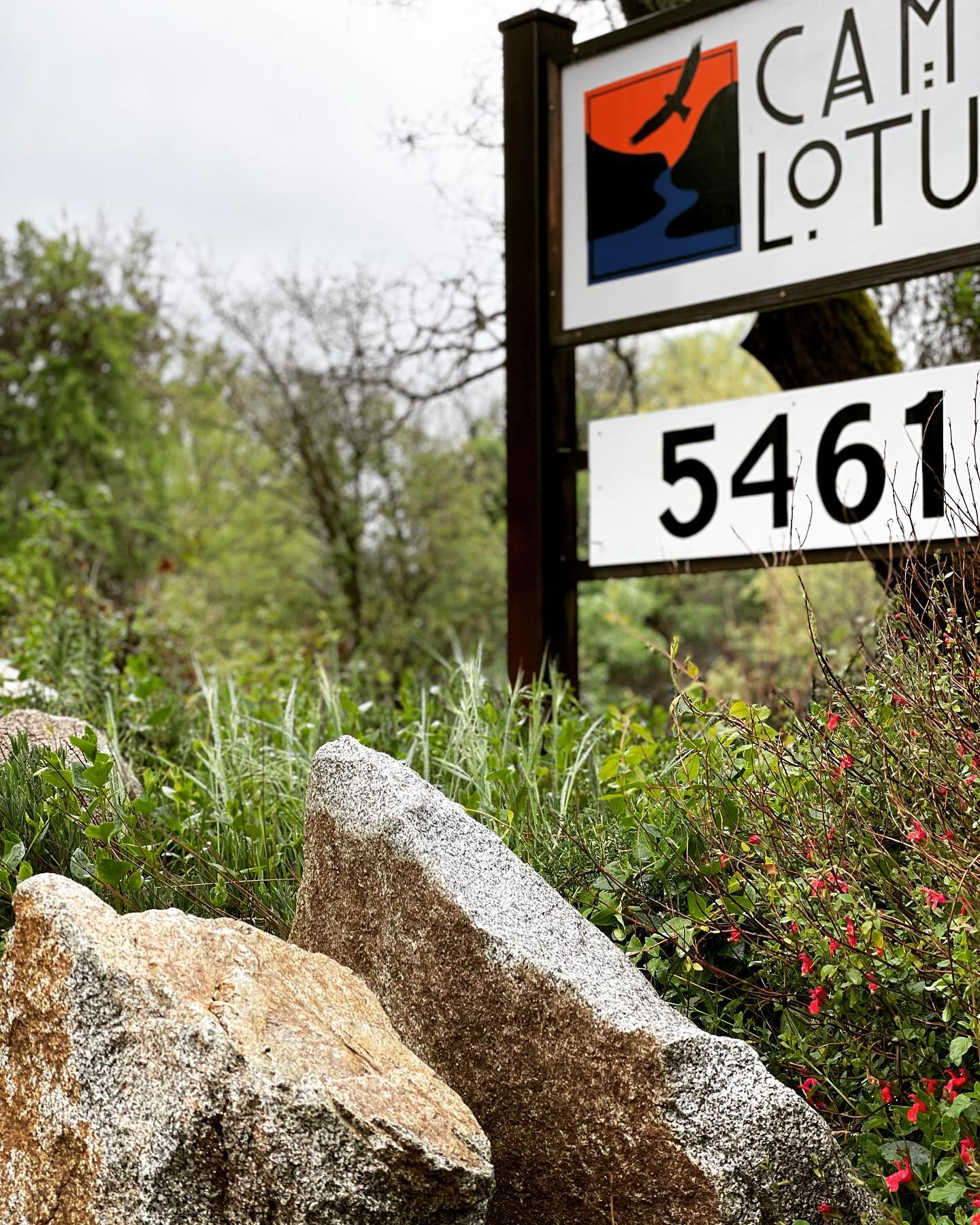 There is nothing quite like April showers… #aprilshowersbringmayflowers #2022season