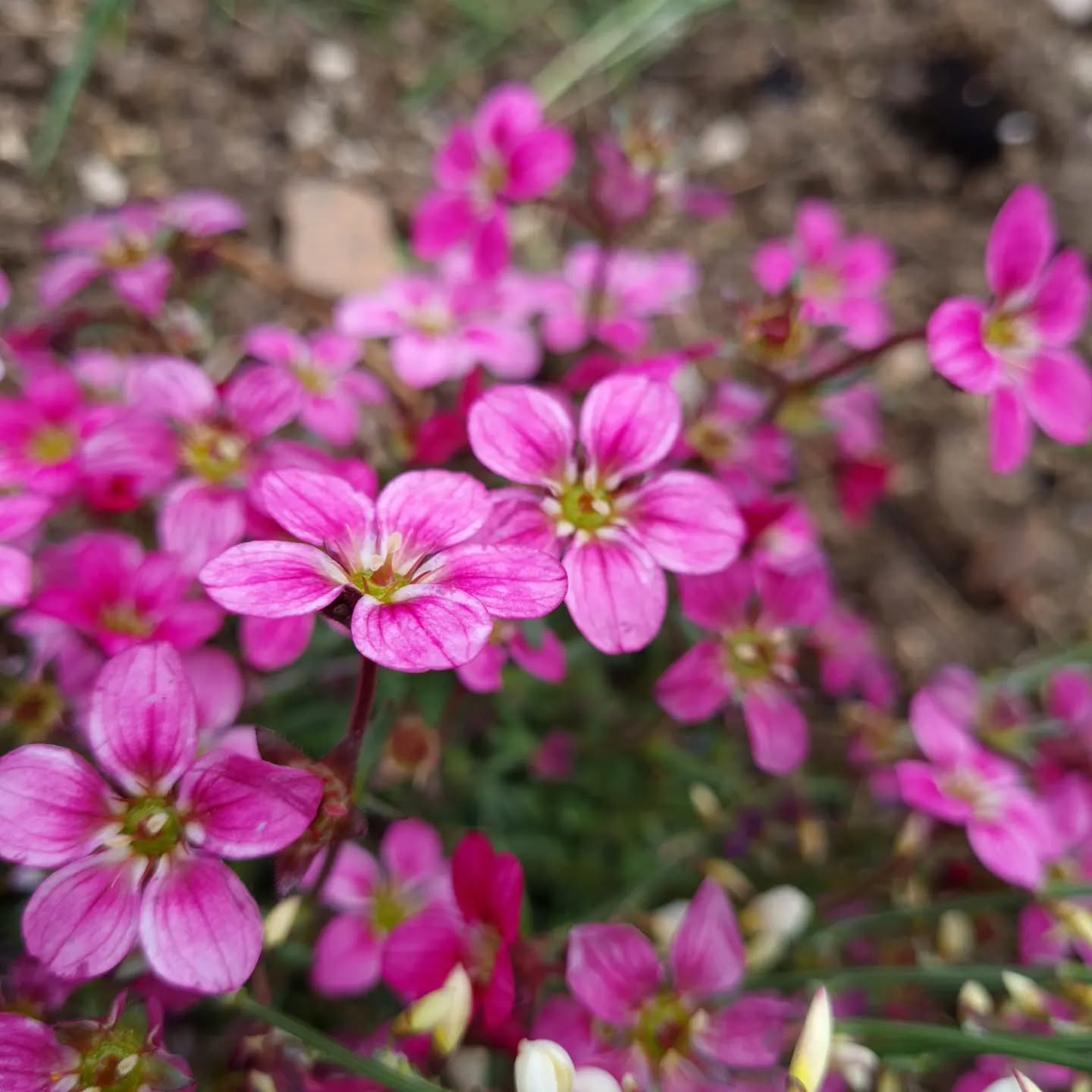 Apprécions la Nature ...