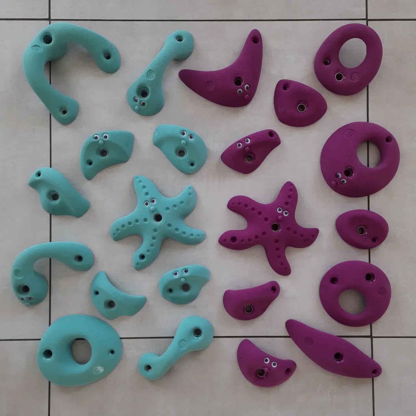 KIDS Serie
follow @climbmania.de #mint #purple #climbmania_de #climbmania #climbingholds #climbing #climb #climbing_is_my_passion #shapes #bouldering #boulder #routesetting #routesetter #routesettersofinstagram #klettergriffe