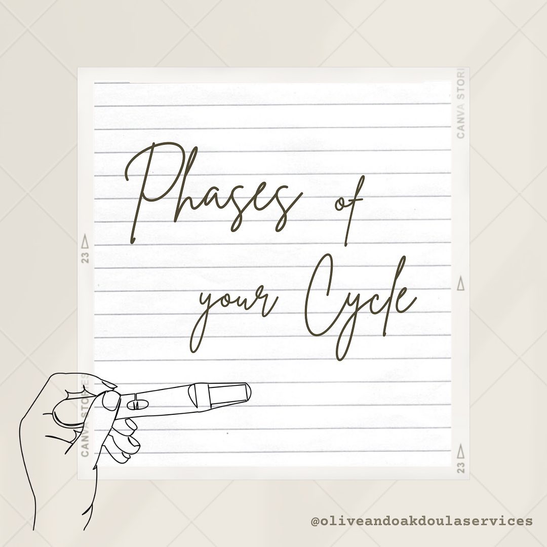You may have heard that the average cycle is 28 days long - but did you know that a normal, healthy cycle can be anywhere from 21-40 days?!
Here are the four stages of your menstrual cycle:
◦ The Menstrual Phase: or period, is the shedding of the uterine lining when implantation of a fertilized egg (or blastocyst) does NOT occur. The low energy, food cravings and mood swings you may experience are due to low levels of estrogen and progesterone.
◦ The Follicular Phase: starts from the first day of your period, all the way to ovulation. With estrogen rising, the pituitary gland releases a follicle stimulating hormone (FSH) which stimulates the ovary to produce 5-20 follicles which hold immature eggs. As these eggs are at different maturity levels, the most mature will release and the others will reintegrate into the ovary until the next cycle!
◦ Ovulation Phase: approximately 8-20 hours before ovulation, a peak level of luteinizing hormone (LH) triggers the follicle with the most mature egg to rupture, releasing the egg into the Fallopian tube.
◦ The Luteal Phase: starts after ovulation and ends at mensturation. The lining of the uterus begins to thicken due to the rise in progesterone, in order to support a potential pregnancy - and if a fertilized egg does not implant into the uterus, progesterone plummets and menstruation begins!
And around and around we go!! 🔄 isn’t the female body amazing?!
We’ll chat more about these hormones mentioned (and more!) next time we chat fertility!!💚