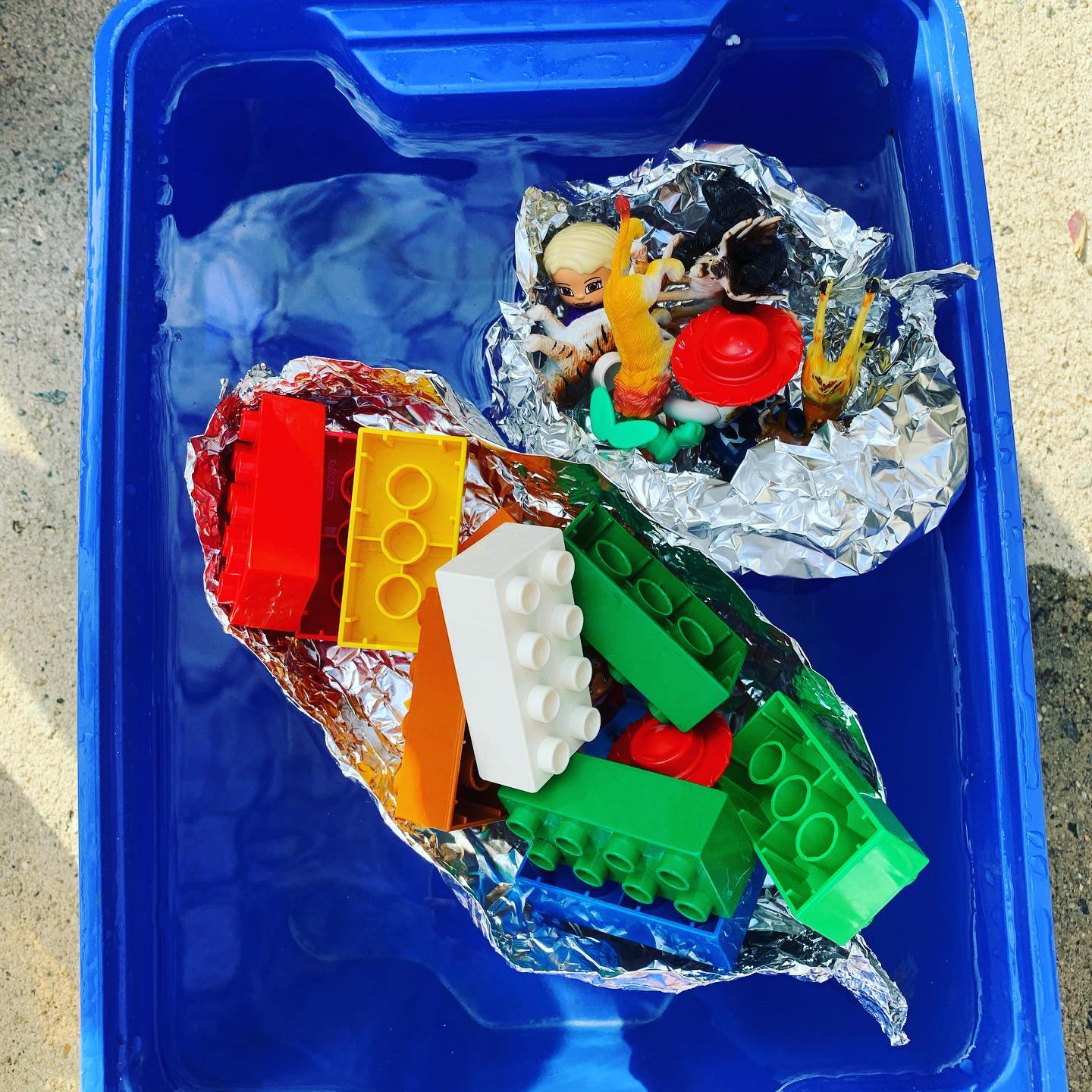 Aluminum Foil Boat Challenge! Will yours stand up to the weight test? Check out more 3rd grade challenges at www.real kids play.com
#steam #stem #girlsdostem #engineering #building #creativity #realkids #realkidsplay #spring #water #challenge #outdoors