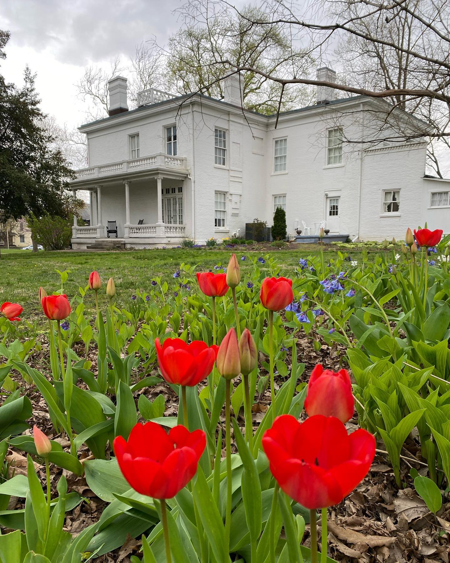 April showers ☔️ bring May flowers 💐 - so glad we’ve had a number of flowers around Lane Place not wait for May!
Come take a tour of our historic home and enjoy our beautiful green space!
#uniquelymoco #laneplace #historichousemuseum #crawfordsvilleindiana #flowers #tulips #garden #spring