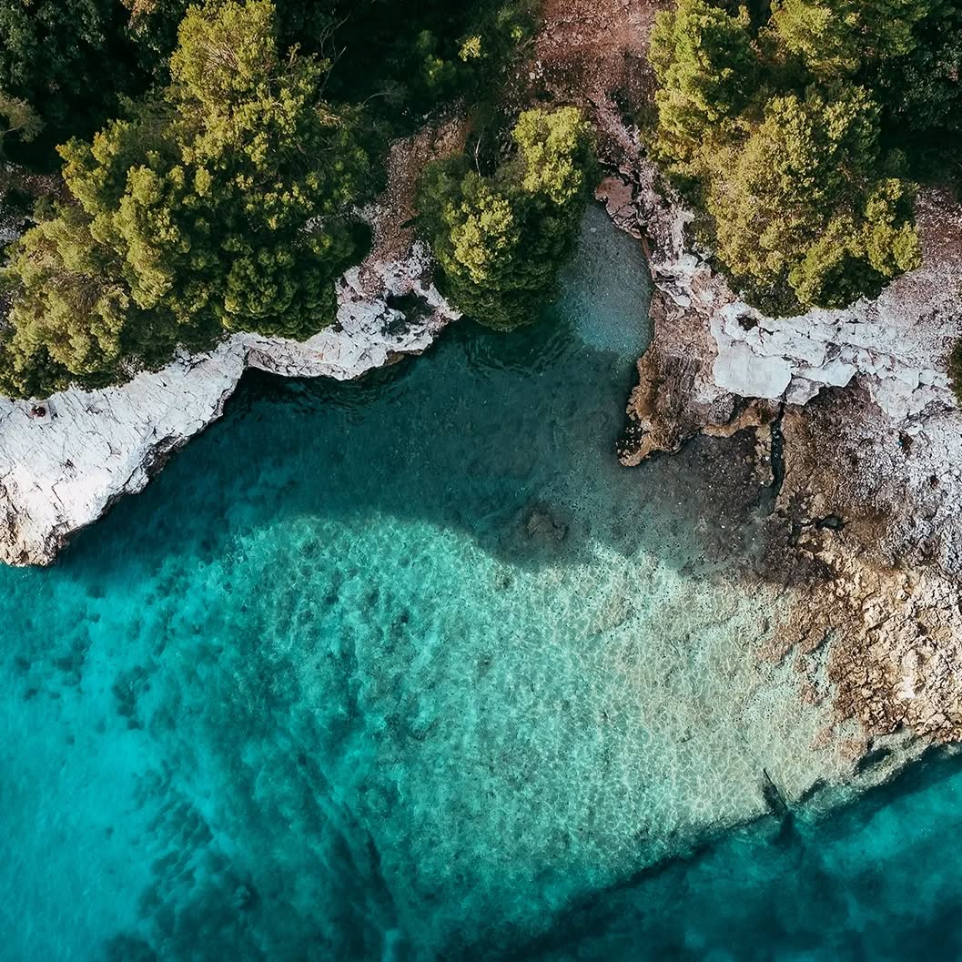 Service No.2: Transportation to/from beaches
We can transport you comfortably and safely to any accessible beach of your choice.
Visit our site (link in bio) and contact us for more.
#allaroundspetses #viptransfer #spetsesisland #beachlife