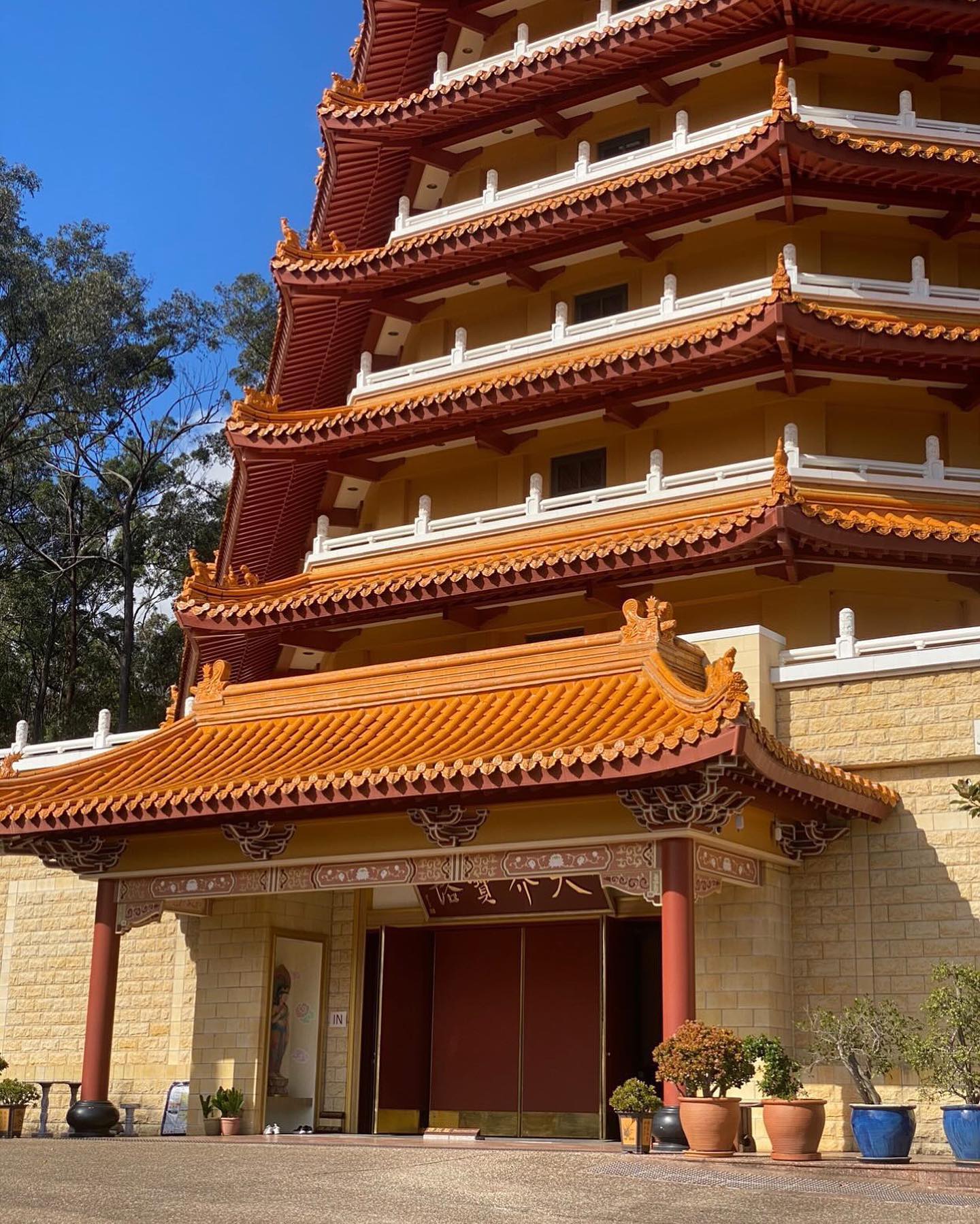 🫢 Who is ready for Buddha Birthday Festival 2022?!
📸 @dylanthompson_