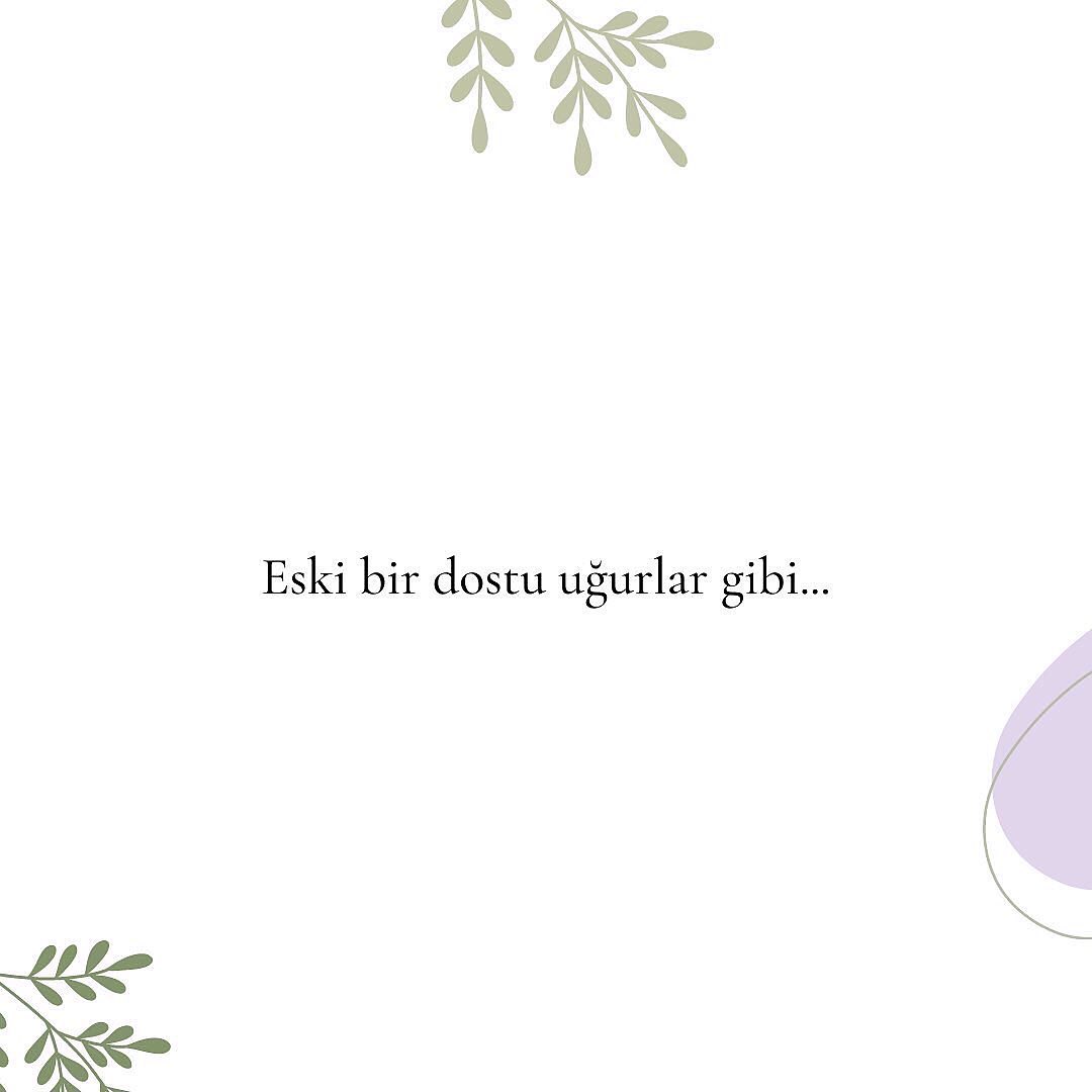 🌿
#psikoloji #psikoterapi #onlineterapist #başaçıkmamodları #şematerapi #sematerapi #şefkat