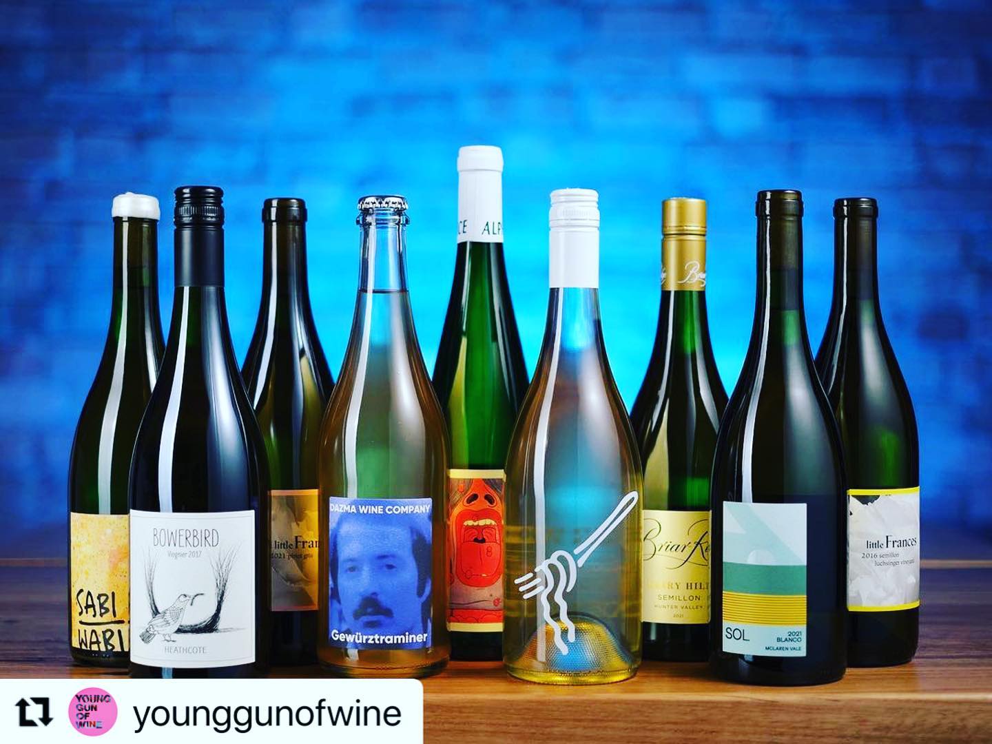 #Repost @younggunofwine with @make_repost
・・・
Australia’s early white wine were marked by rustic winemaking methods, before a 20th century technical revolution resulted in wines of great fruit purity and freshness. Those wines became Australian benchmarks, dry and fresh with ultra-clear fruit characters – think Hunter semillon or Clare riesling. So many other varieties have since received the same treatment – pinot grigio, sauvignon blanc, verdelho, chenin blanc, fiano… More recently, new wave makers have certainly flipped that script, rejoicing in extensive skin contact (whites made like reds) and uncommon blends of varieties. But today, the white wine landscape is even richer, with many new grape varieties thriving and so many wines nuanced with subtler tweaks, throwing the idea of style out the window, responding to fruit and site to make compelling wines that are built just as much on texture as they are on flavour.
The 2022 Young Gun of Wine Awards features Kirilly Gordon @bowerbirdwines, Charles Osborne @dazmawinecompany, Sam Berketa @alphaboxdice, Luke Growden @yearwines, Alex Beckett @briarridgevineyard, Peta Kotz @sabiwabi.wine, Erin Pooley @drink_littlefrances and Riley Harrison @harrison.wine, whose wines tell this story.
Follow the 👉 link in our bio to read TIn Search of Balance – The New Whites.
#YGOW #YGOW2022 #YGOWawards