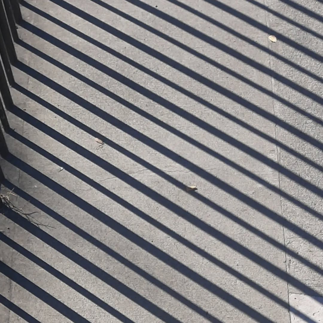 Autumn shadows giving me production ideas for days.