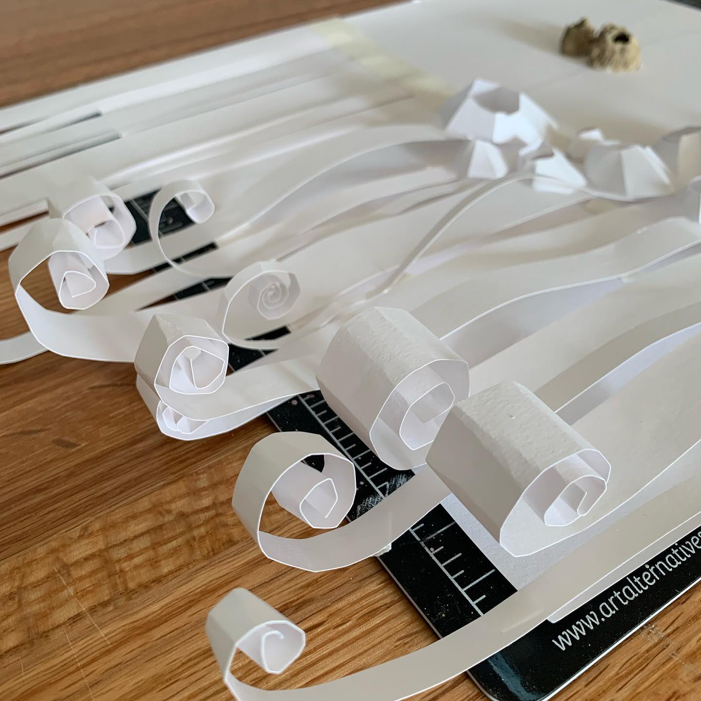 Barnacles in process
•
#art #artist #architcture #architect #architecturemodel #modelmaking #design #designprocess #process #scad #scadarch #scadarchitecture #architecturephotography #textures #architecturedesign #drawing #drafting #barnacles