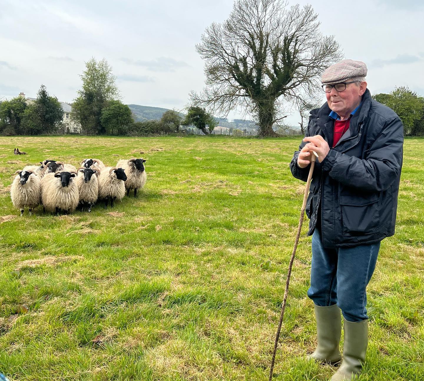 Spent our morning / afternoon at Ballyknocken! Ballyknocken is a Victorian Farmhouse that was converted into a fabulous cookery school where we tested our culinary skills making scones before practicing the art of sheep herding with Pat the Shepherd and his assistant Prince! We wrapped up this Irish Farmhouse Experience with a delicious farm to table lunch hosted by the one and only @catherinefulvio_chef 🐑 ☘️
.
.
.
.
.
.
.
.
.
#hooplatravelpartners #hooplatravel #hoopla #ireland #sheepherding #pattheshepherd #princetheshepherd #farmhouse #ballyknocken #irishexperience #scones #shennanigans #theleprechaunsmademedoit #luckytheleprechaun #travel #incentivetravel #awardtravel #weloveourclients #sheep #baa #shamrockmyworld