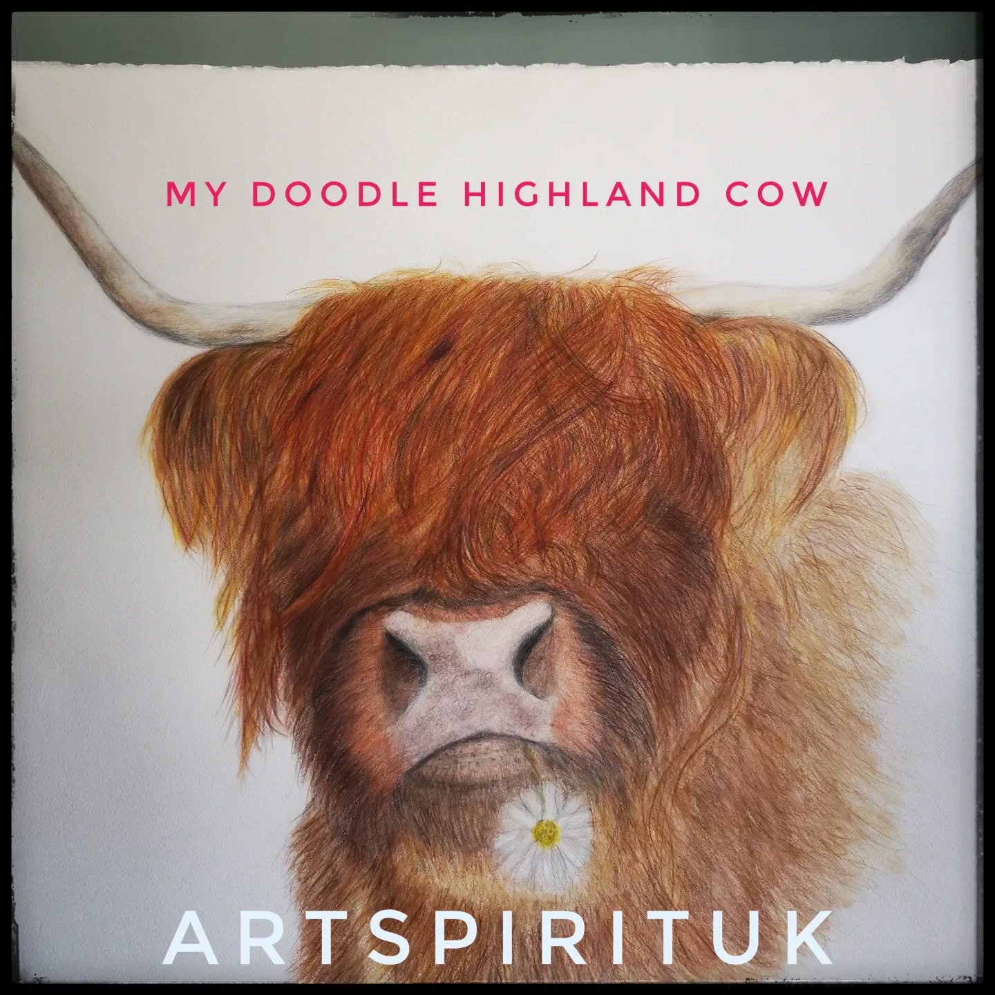 So this is my Highland cow doodle portrait that I loved just doodling with. Just mindful drawing for relaxation. On hot press paper and coloured pencils. #art #artgallerys #highlandcowart #coloredpencilmagazine #colourpencilart