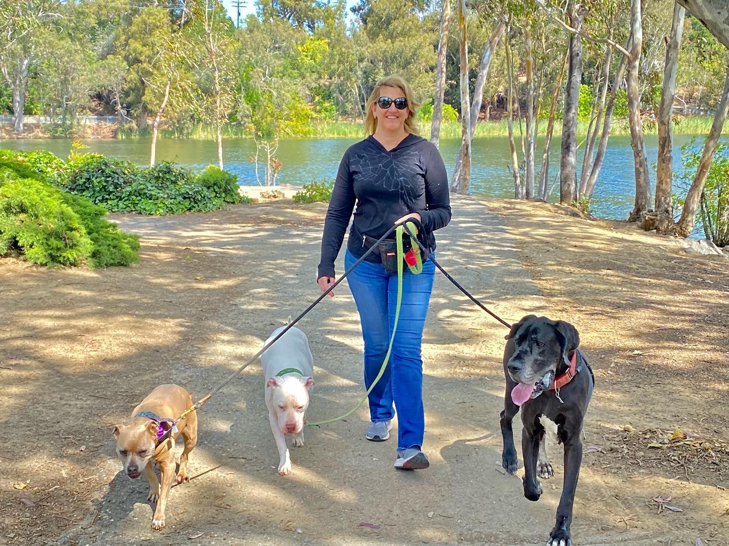 Stroll at the park with my pack #workinprogress #nosquirrelsallowed🐿