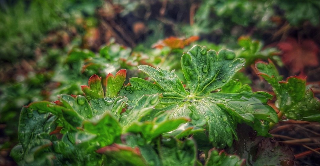 Nachhaltig? Nachhaltig! Nicht (nur) in Zukunft, sondern jetzt! - #Lehrlinge von @asfinag.at, @greinerag / @greiner_ausbildungszentrum, @nespresso.at und @salzburg_ag sammeln Eindrücke in ihrer Arbeitsumgebung. Ihr kritisches Auge: die Kamera ihres Smartphones. - Ausgewählte Bilder findest du unter #futurebfly.
Was fällt dir dazu ein? Schreib’ deine uns deine Gedanken in die Kommentare!
Sustainable? Sustainable! Not (only) in the future, but now! - #Apprentices from @asfinag.at, @greinerag / @greiner_ausbildungszentrum, @nespresso.at and @salzburg_ag collect impressions in their working environment. Their critical eye: the camera of their smartphone. - Please find selected pictures under #futurebfly.
What comes to your mind? Add your thoughts in the comments!
#smartphonephotography #smartphonephoto #smartphonepicsart #smartphonepics #smartphonefotografie #smartphoneart #sustainability #circulareconomy #austria #futurebfly #22bfly #ceosforfuture
Ein Projekt von @ceosforfuture und #22butterfly. | A project of @ceosforfuture and #22butterfly.