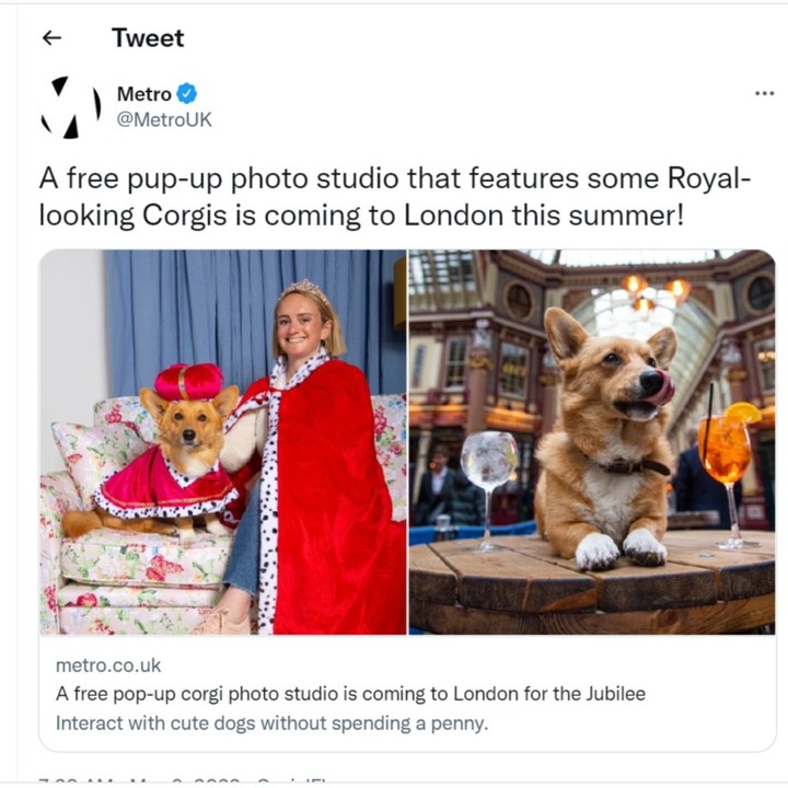 A little bit of lighthearted fun for the Queen's Jubilee - meet some corgis @leadenhallmarket!
Any opportunity to involve dogs in my work, I will shamelessly take! ❤️🐶
Love working on creative events for Leadenhall 😄
#events #clientwork #queensjubilee #leadenhallmarket #dogsofinstagram #londonmarkets #cityoflondon #corgisofinstagram #corgistagram
