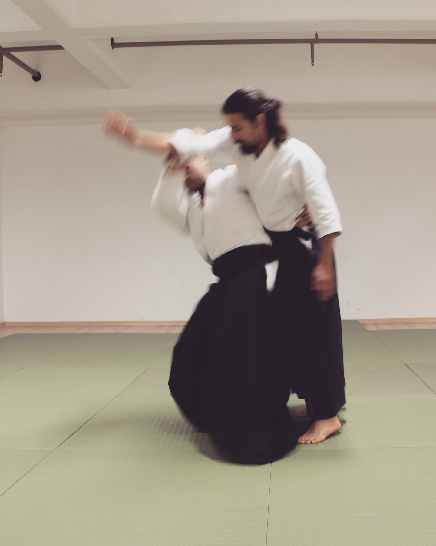 In repetition, there is beauty. We practice the same techniques over and over, to simplify it, to make it smooth and effective.
#koshinage #aikido #budo #budo