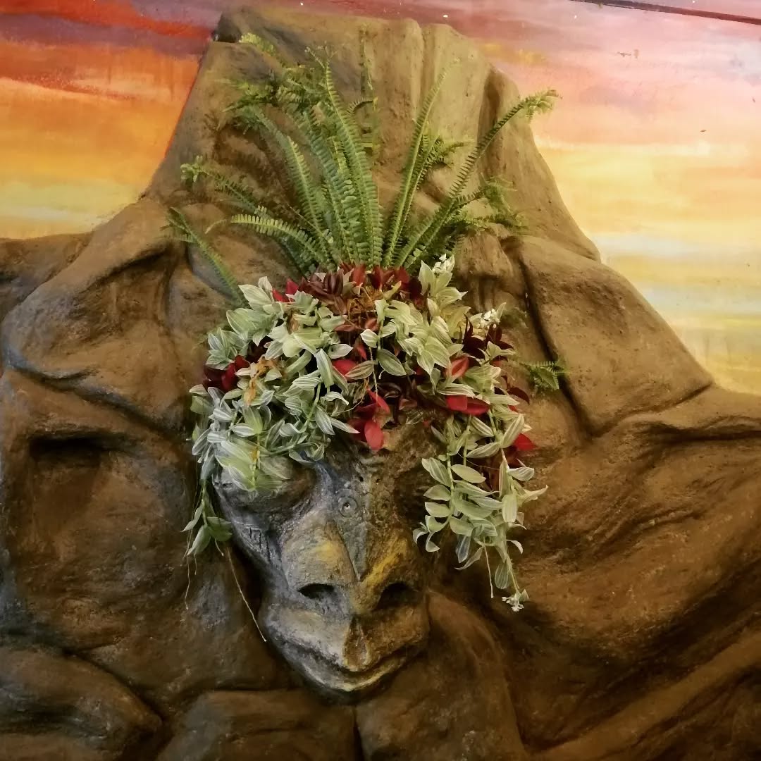 ¡Nuevo look para nuestro hombre de piedra! 🗿
New look for our stone man!🗿
#mangiferahostel #creativewithplants #statue #plantbased #haircut #newlook #prettyplants #plantsofinstagram #iloveplants