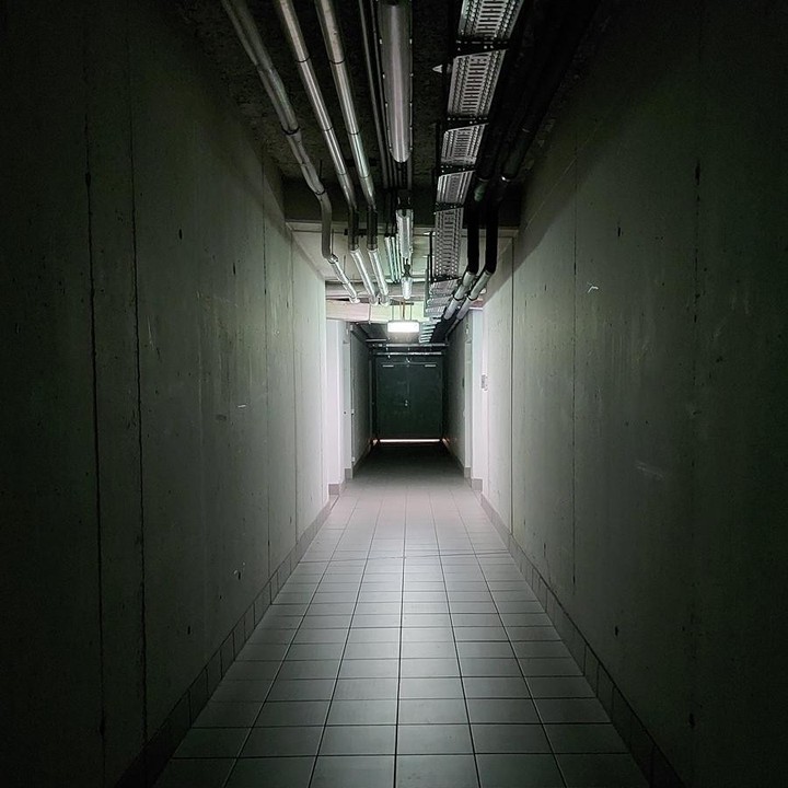 Nachhaltig? Nachhaltig! Nicht (nur) in Zukunft, sondern jetzt! - #Lehrlinge von @asfinag.at, @greinerag / @greiner_ausbildungszentrum, @nespresso.at und @salzburg_ag sammeln Eindrücke in ihrer Arbeitsumgebung. Ihr kritisches Auge: die Kamera ihres Smartphones. - Ausgewählte Bilder findest du unter #futurebfly.
Was fällt dir dazu ein? Schreib’ deine uns deine Gedanken in die Kommentare!
Sustainable? Sustainable! Not (only) in the future, but now! - #Apprentices from @asfinag.at, @greinerag / @greiner_ausbildungszentrum, @nespresso.at and @salzburg_ag collect impressions in their working environment. Their critical eye: the camera of their smartphone. - Please find selected pictures under #futurebfly.
What comes to your mind? Add your thoughts in the comments!
#smartphonephotography #smartphonephoto #smartphonepicsart #smartphonepics #smartphonefotografie #smartphoneart #sustainability #circulareconomy #austria #futurebfly #22bfly #ceosforfuture
Ein Projekt von @ceosforfuture und #22butterfly. | A project of @ceosforfuture and #22butterfly.