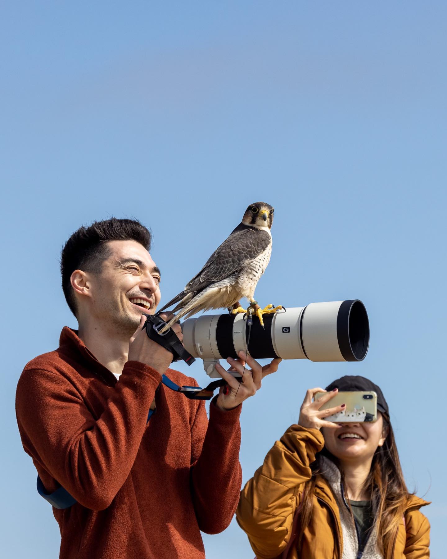 Sometimes photo-ops are not quite what you planned for. Sophie rules 🤣. #totalraptorexperience #parahawking #lajolla #sandiego #optoutside #photography #birdsofinstagram @l.exii