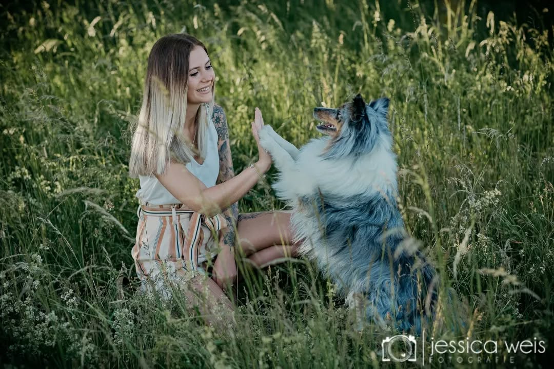 #hundeliebe #hundeshooting #shootingmithund