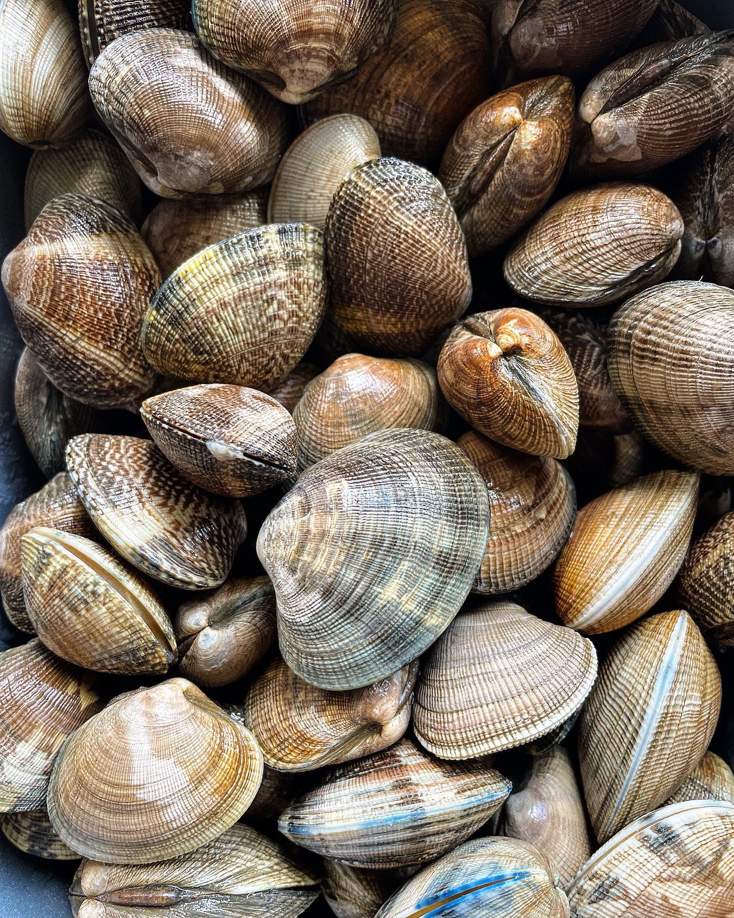 Beautiful Parlour clams for our special today with home made linguine, tomatoes, Calabrian chilli, garlic, parsley and extra virgin olive oil
#pasta #clams #sauceandflour #maidenhead